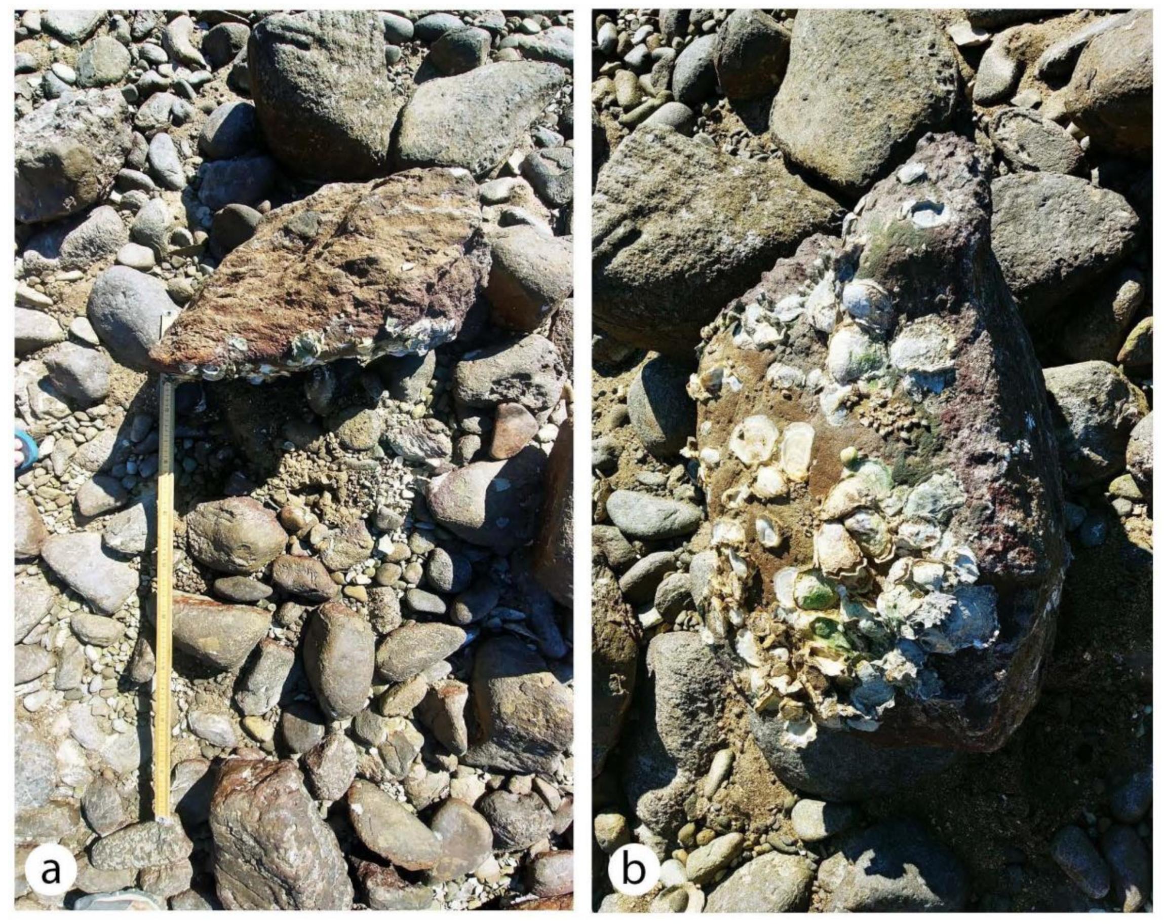 Jmse 08 00525 g011 Jmse 08 00525 g011