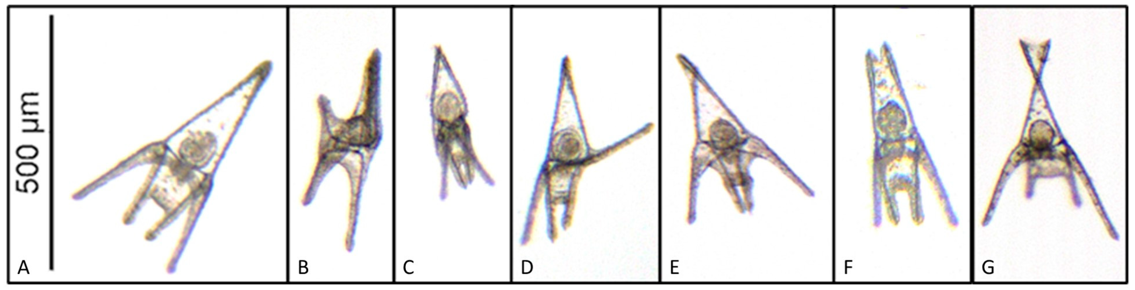 Jmse 08 00661 g001 Jmse 08 00661 g001