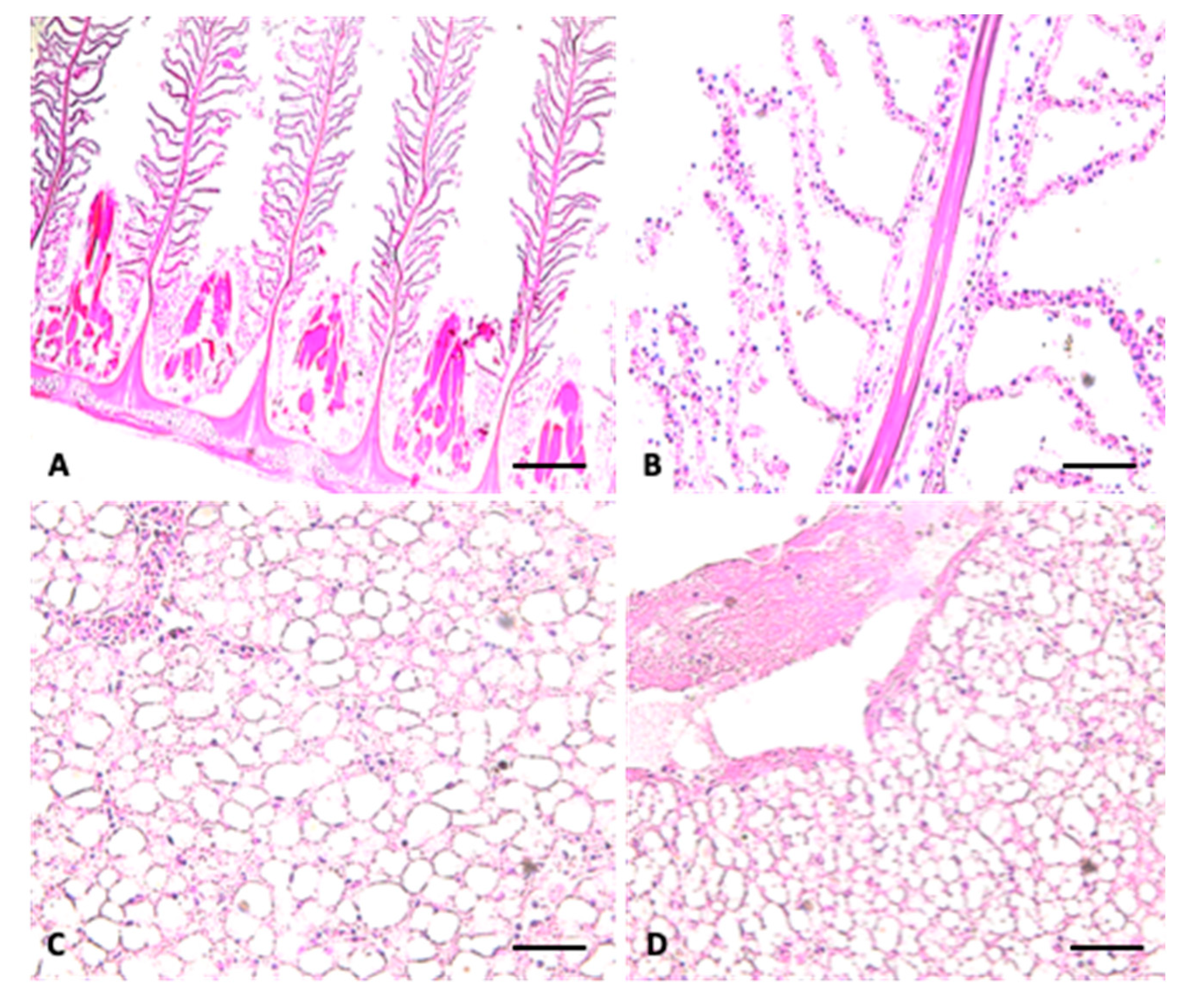Jmse 08 00712 g004