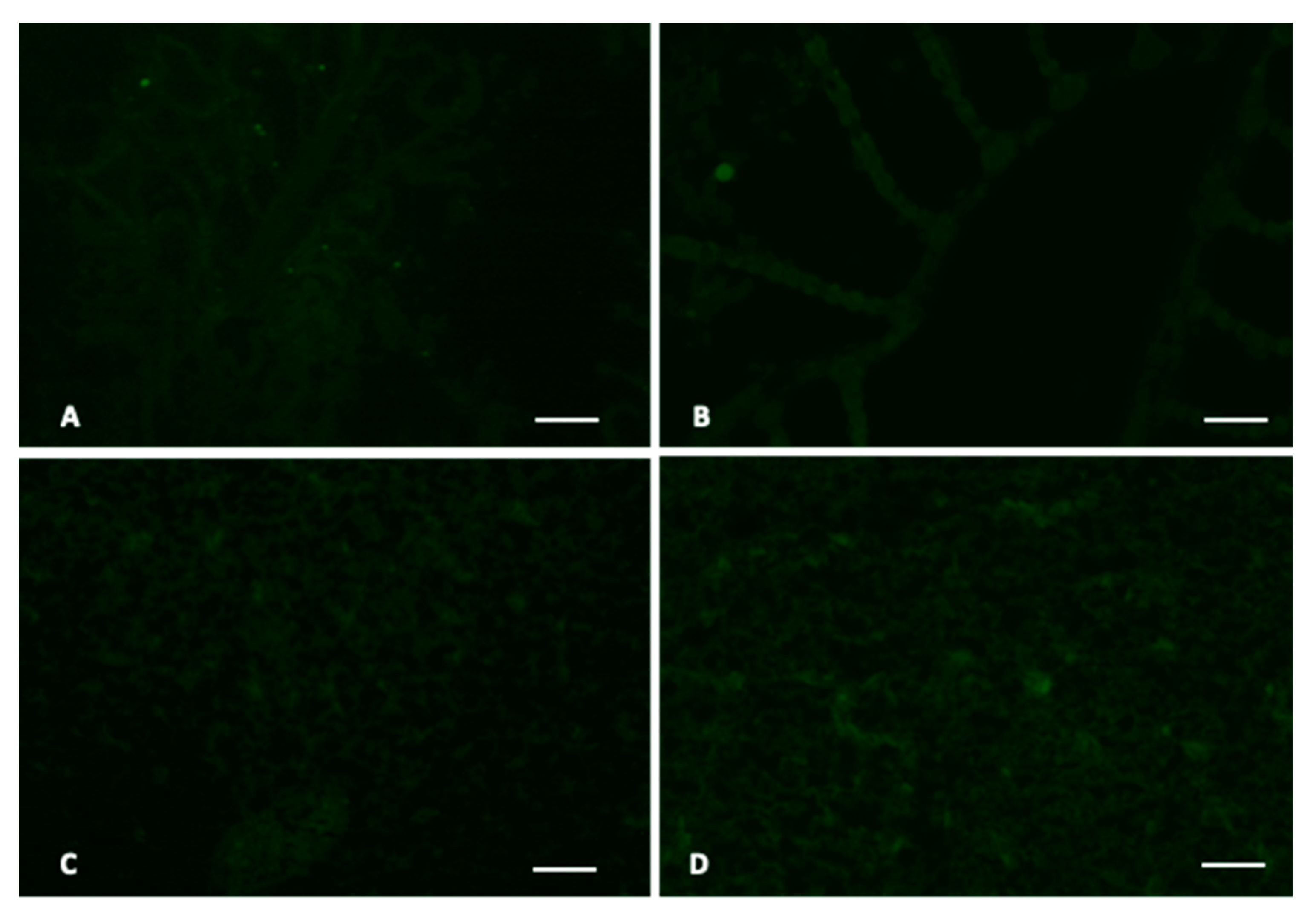 Jmse 08 00712 g005