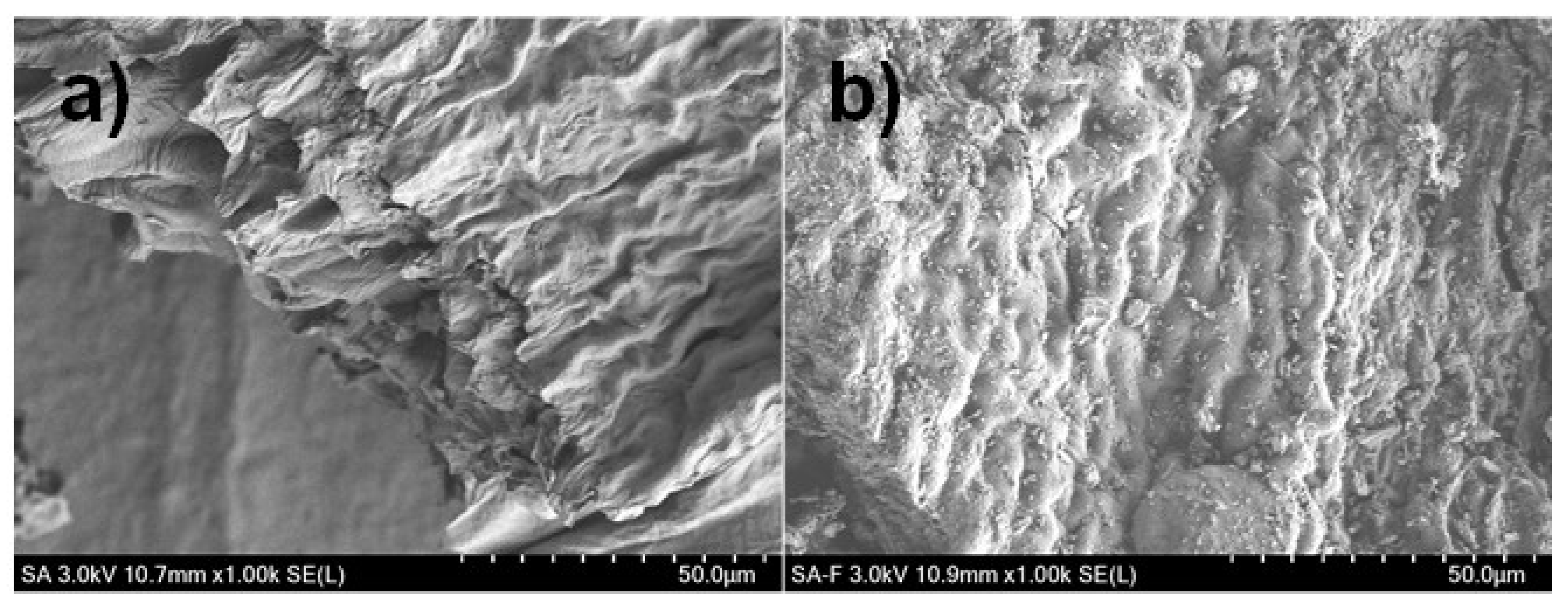 Jmse 08 00899 g002 Jmse 08 00899 g002