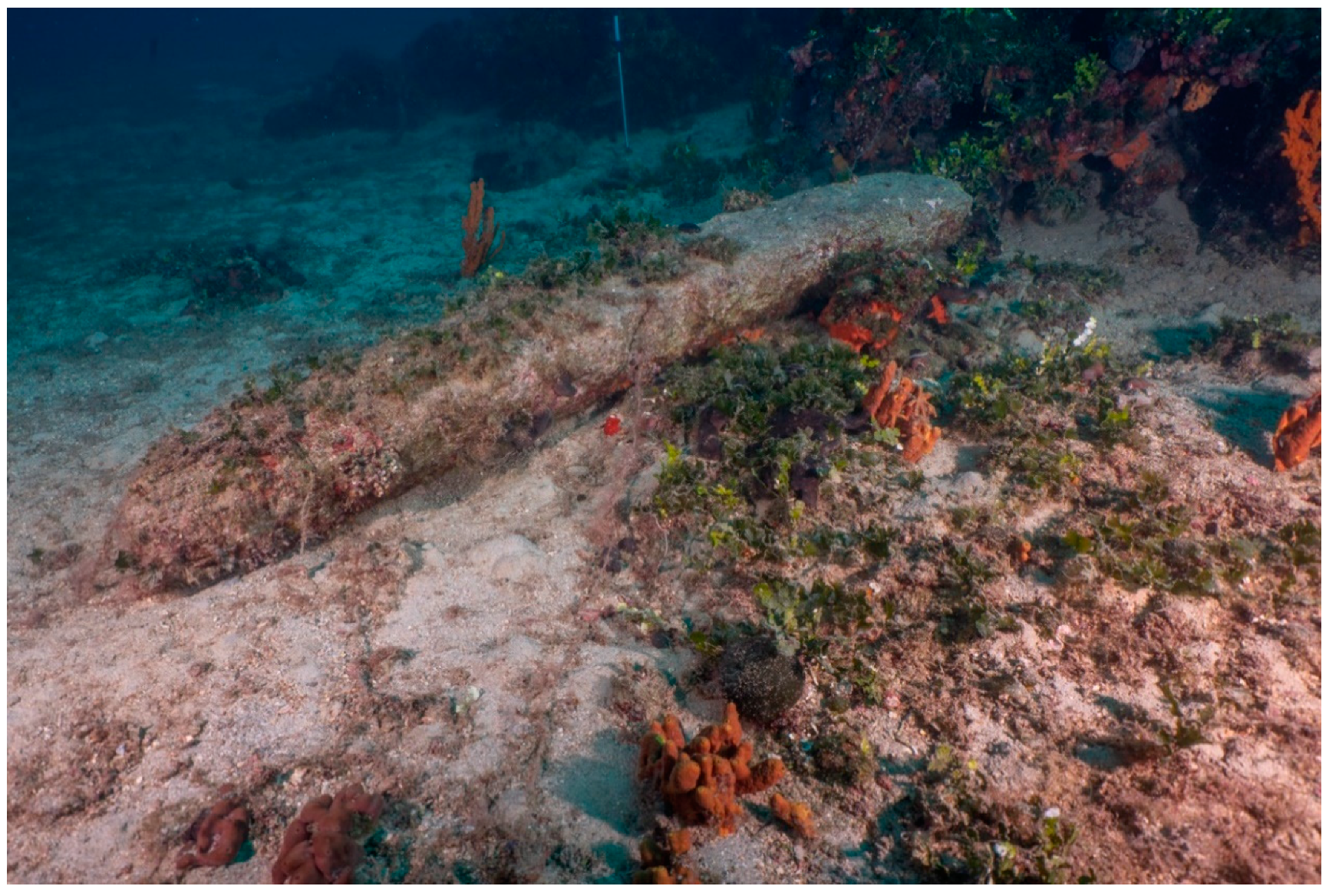 Jmse 08 00955 g009 Jmse 08 00955 g009