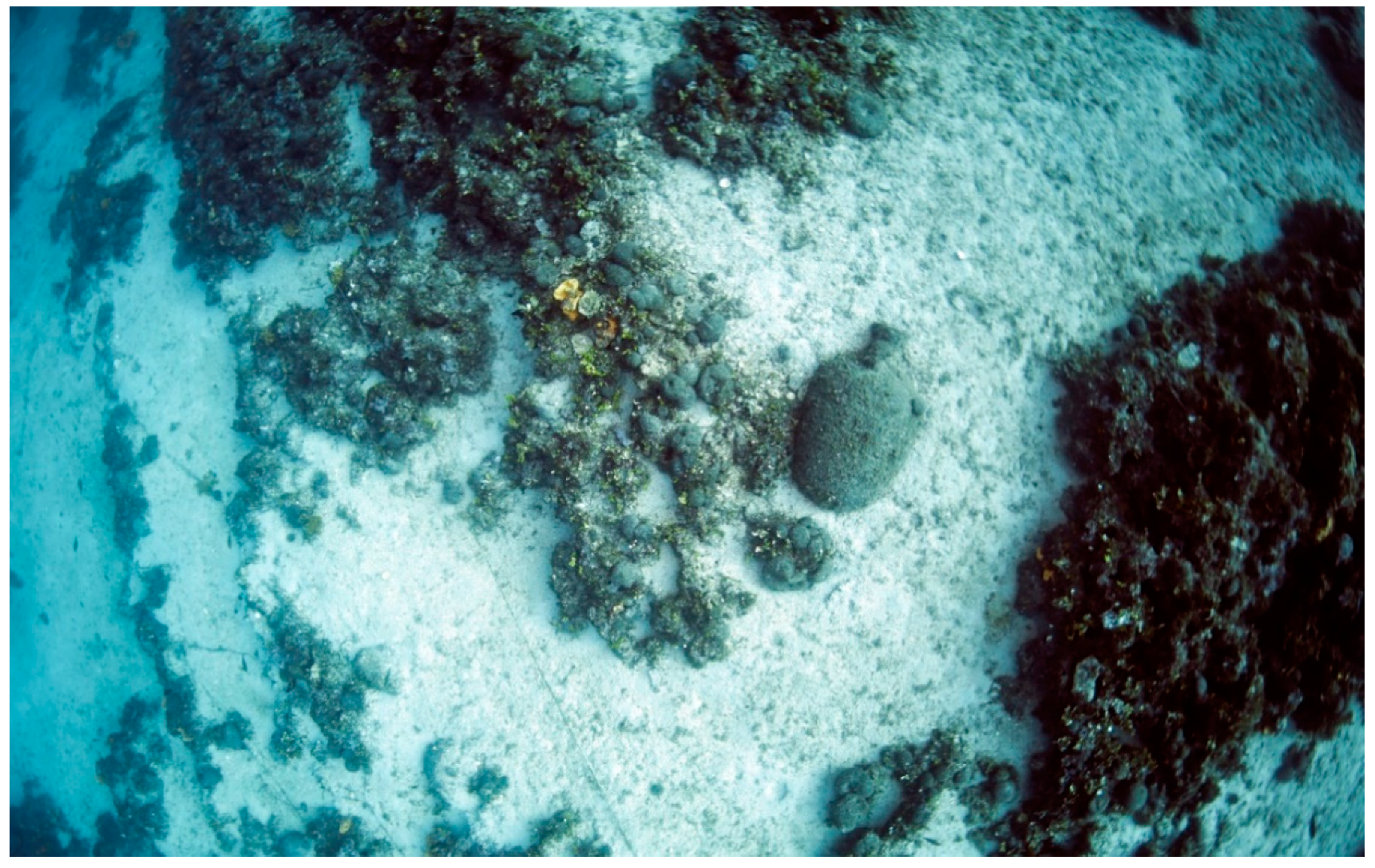 Jmse 08 00955 g010 Jmse 08 00955 g010