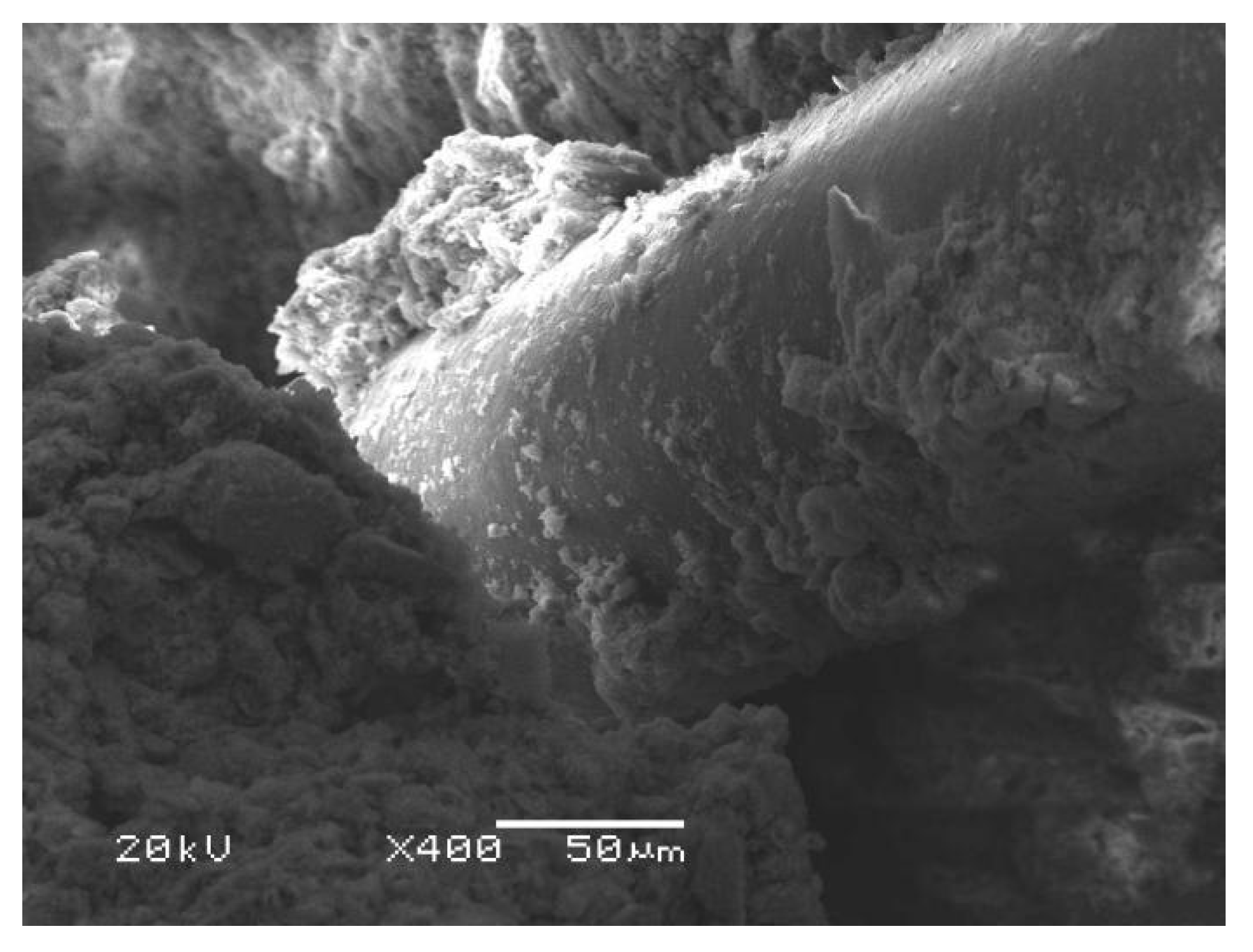 Jmse 09 00143 g011 Jmse 09 00143 g011