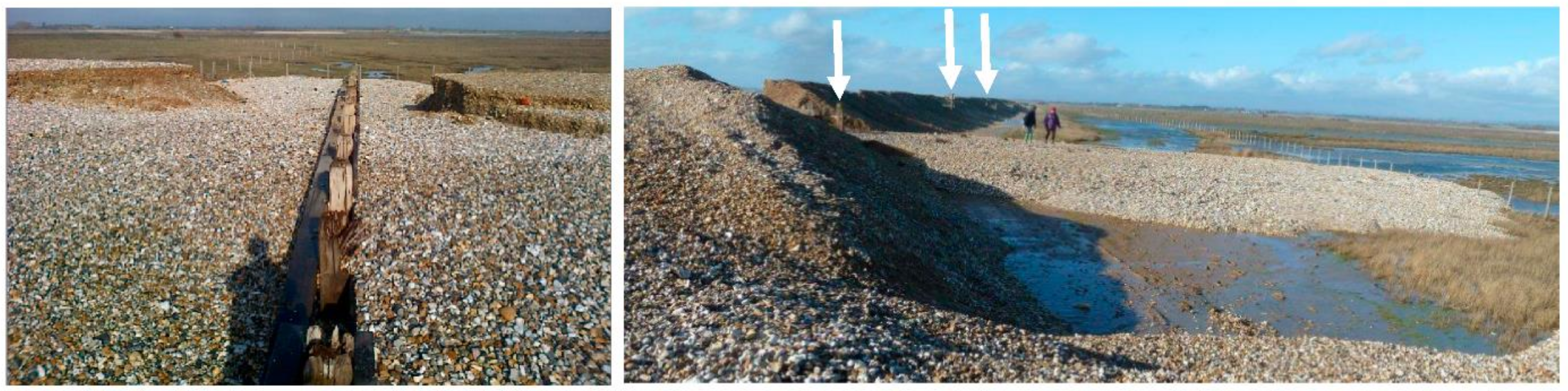 Jmse 09 00374 g011 Jmse 09 00374 g011