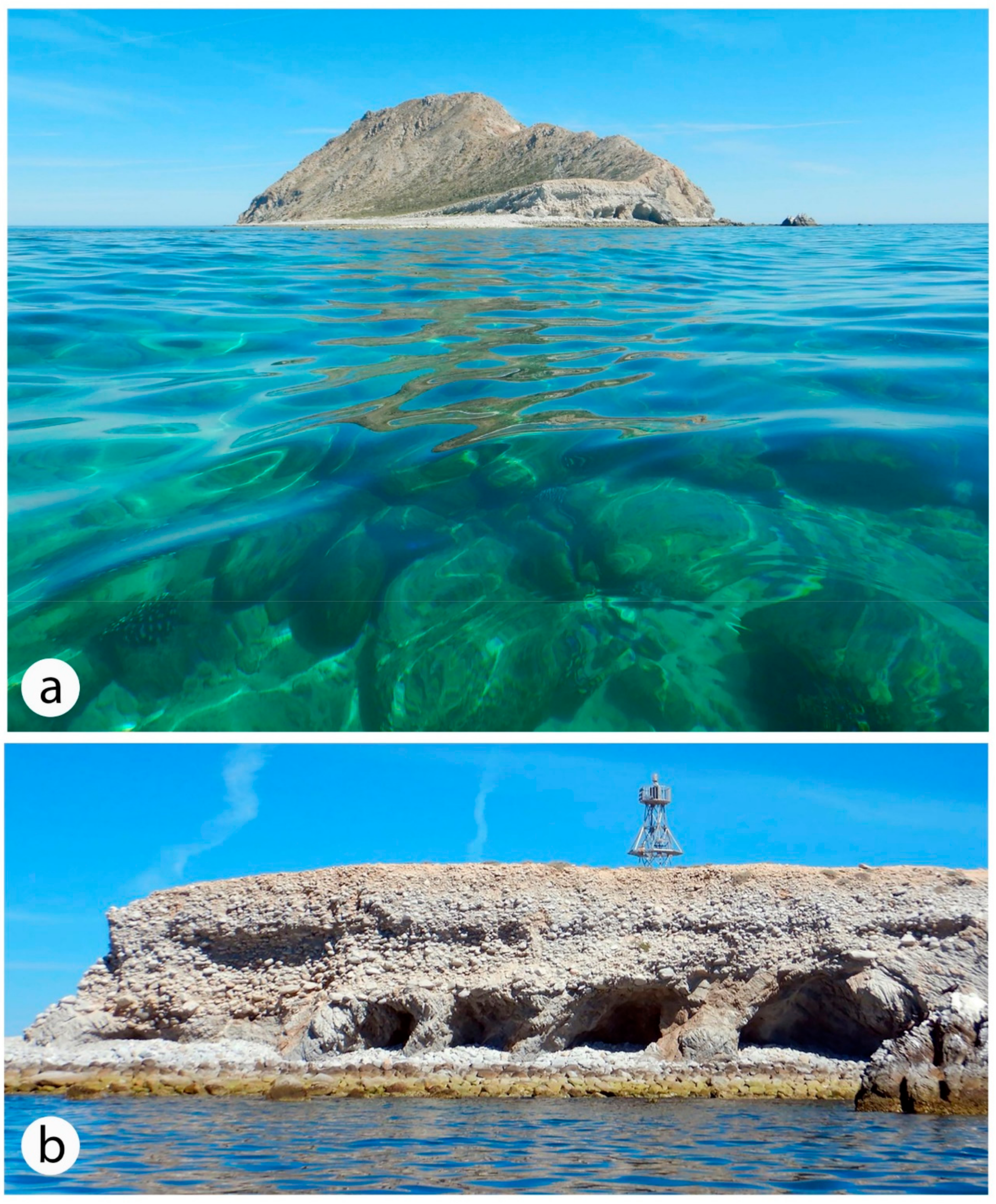 Jmse 09 00555 g002 Jmse 09 00555 g002