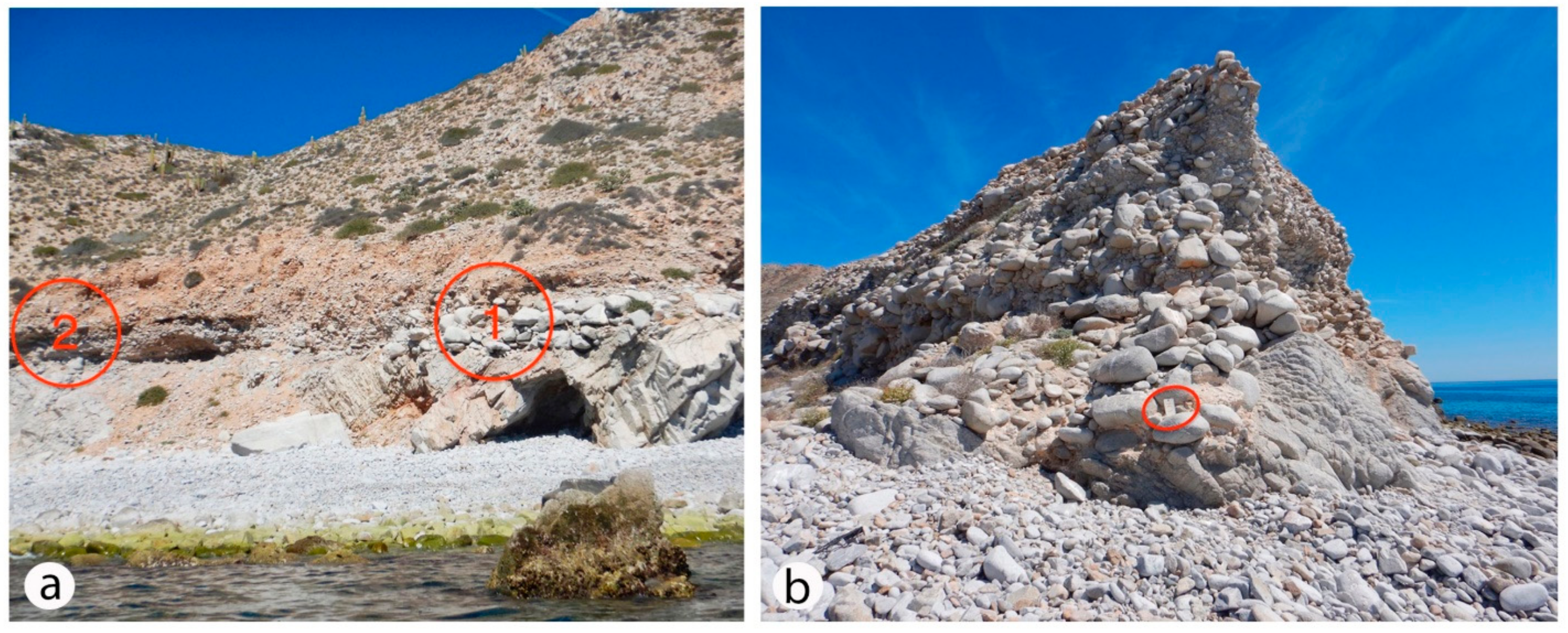 Jmse 09 00555 g003 Jmse 09 00555 g003