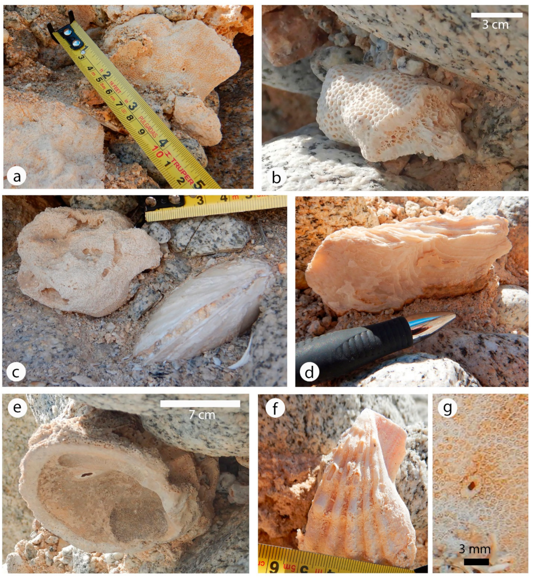 Jmse 09 00555 g008 Jmse 09 00555 g008