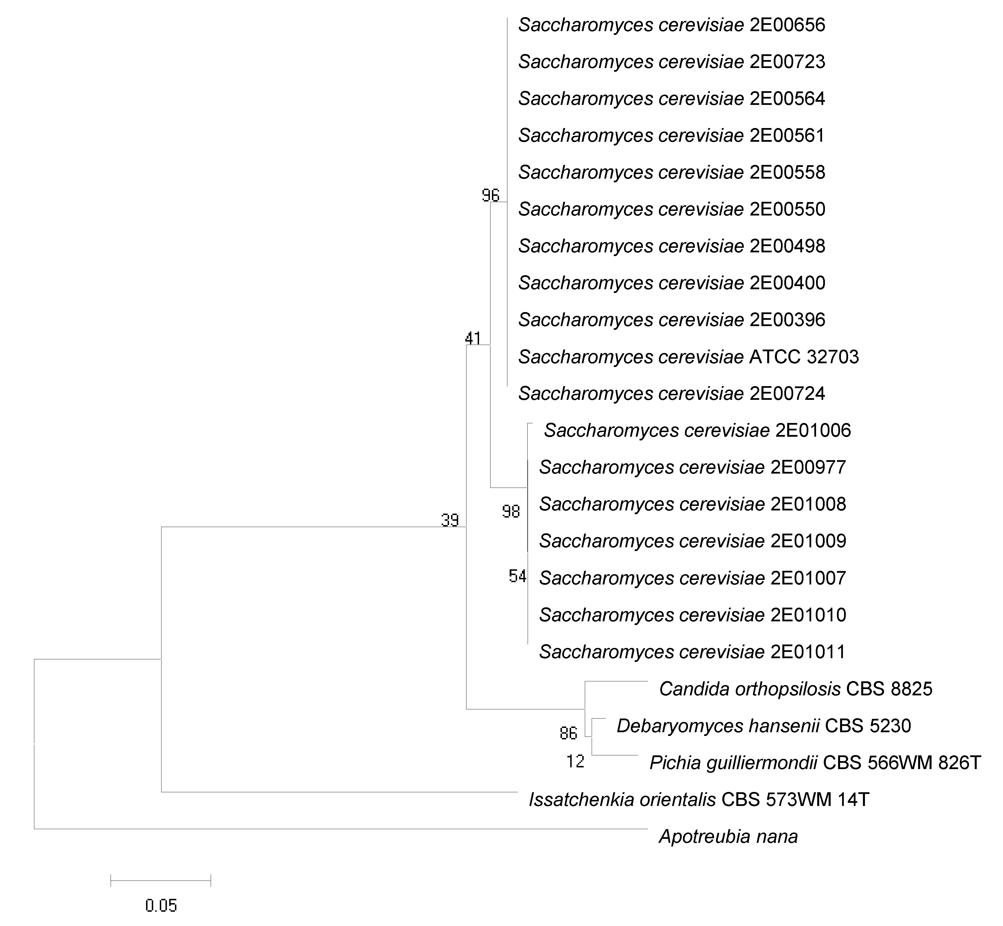 Jmse 09 00590 g001 Jmse 09 00590 g001