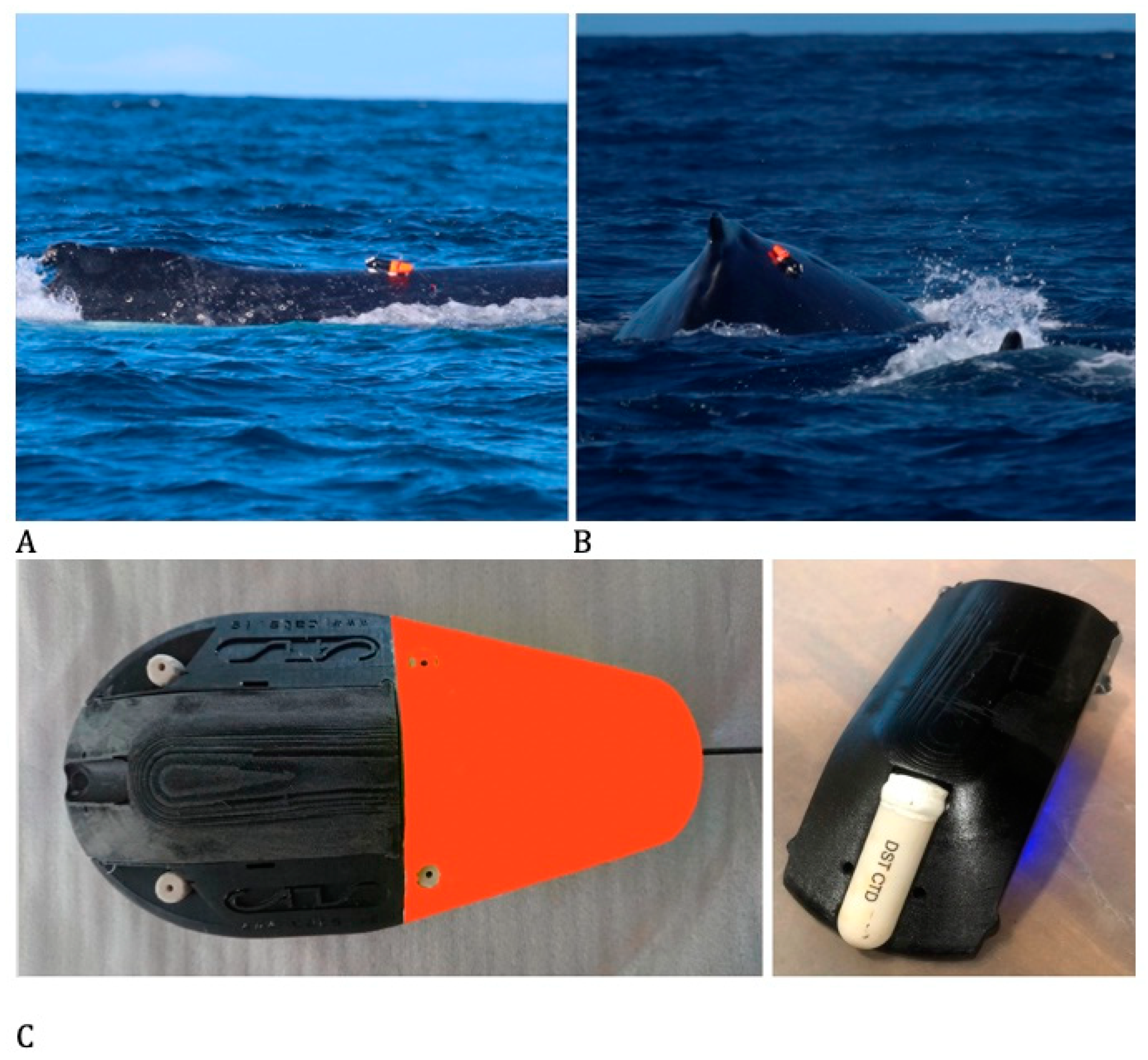 Jmse 09 00597 g002 Jmse 09 00597 g002