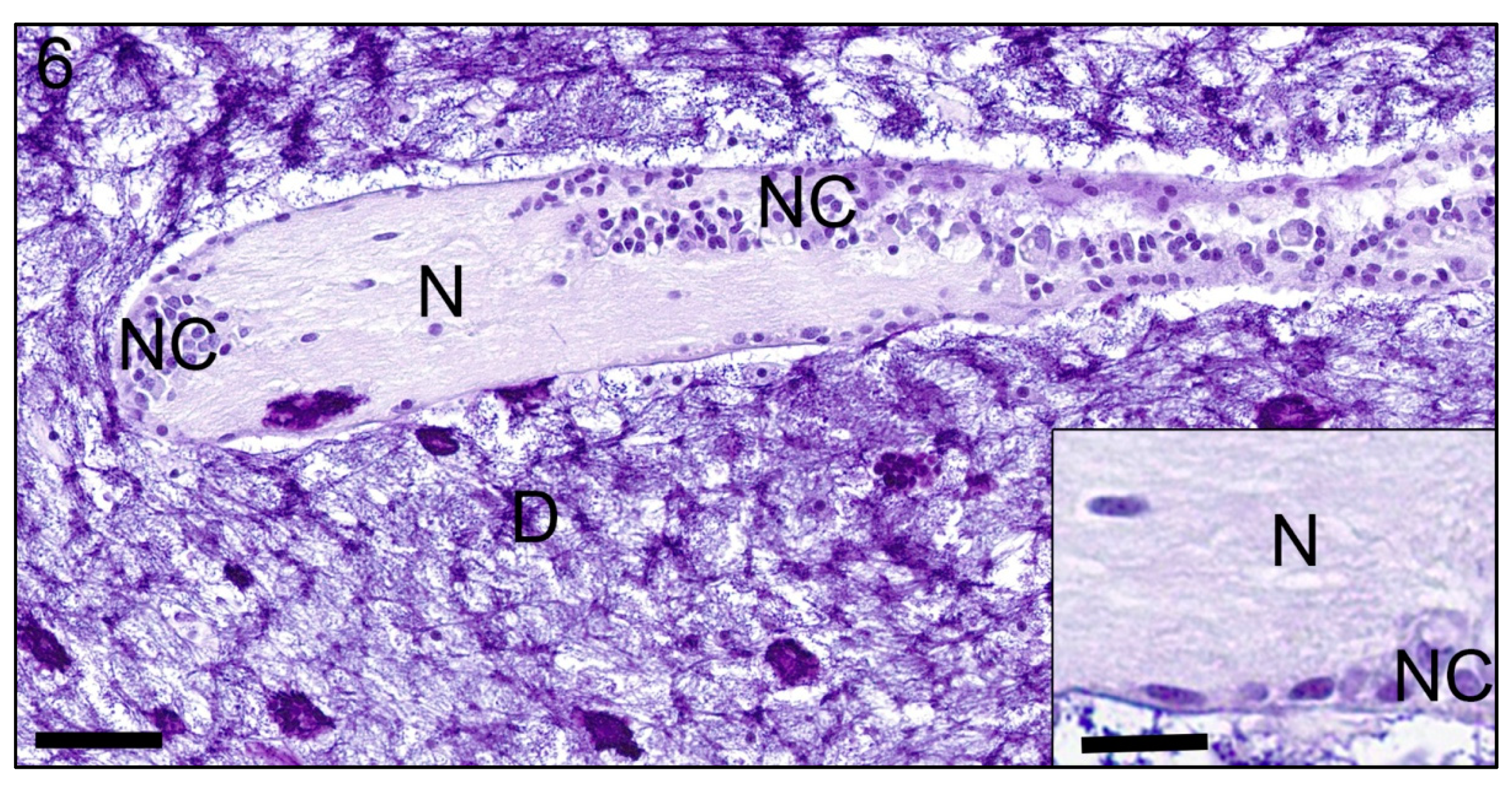 Jmse 09 00848 g006 Jmse 09 00848 g006