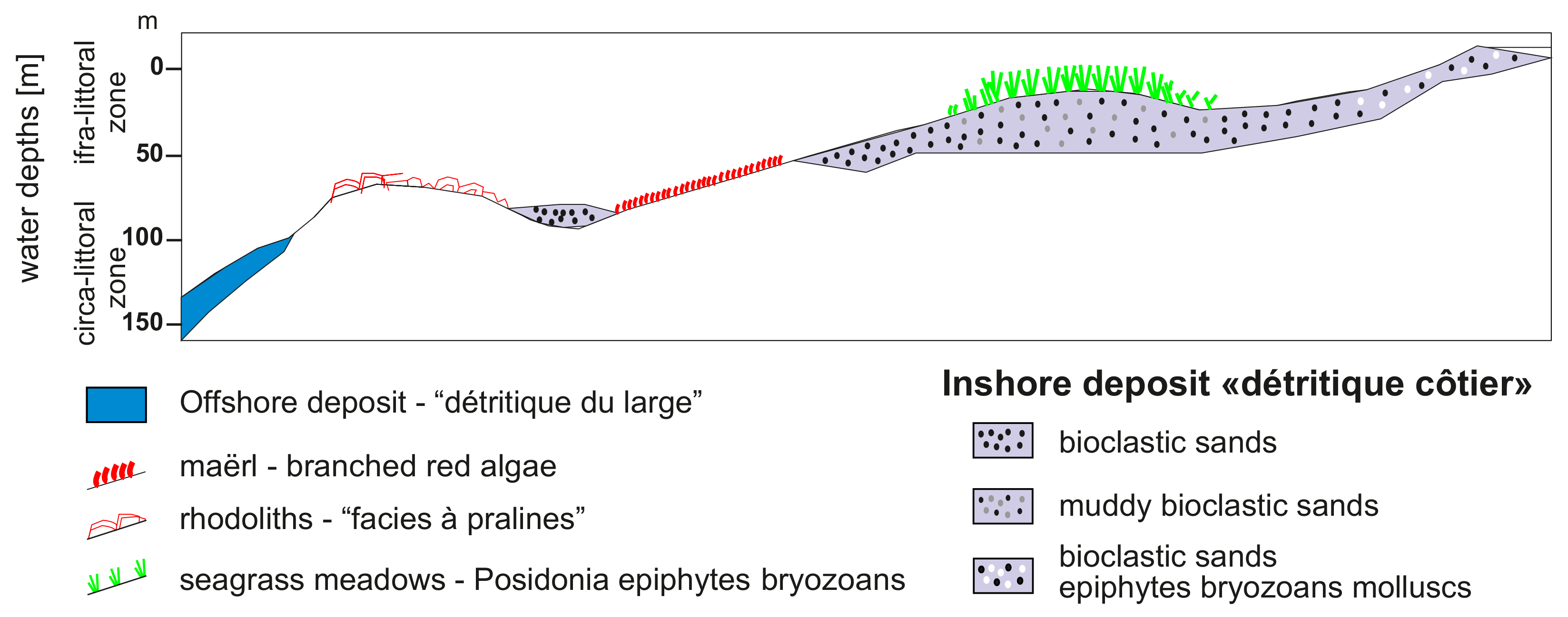 Jmse 09 01083 g009 Jmse 09 01083 g009
