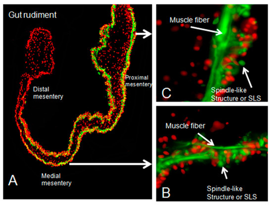 Jmse 10 00244 g0a1 550