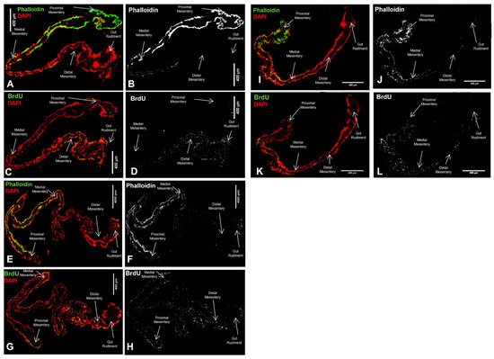 Jmse 10 00244 g0a2 550