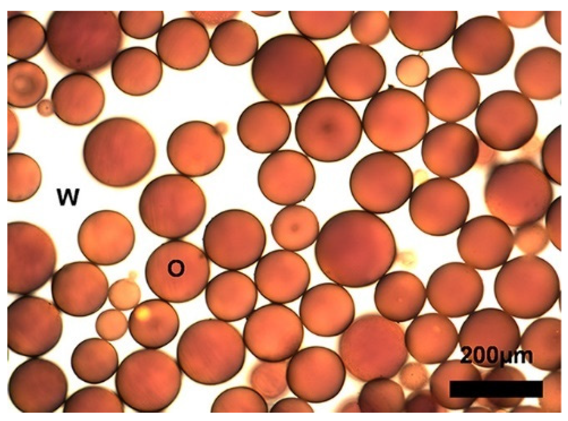 Jmse 10 00425 g004