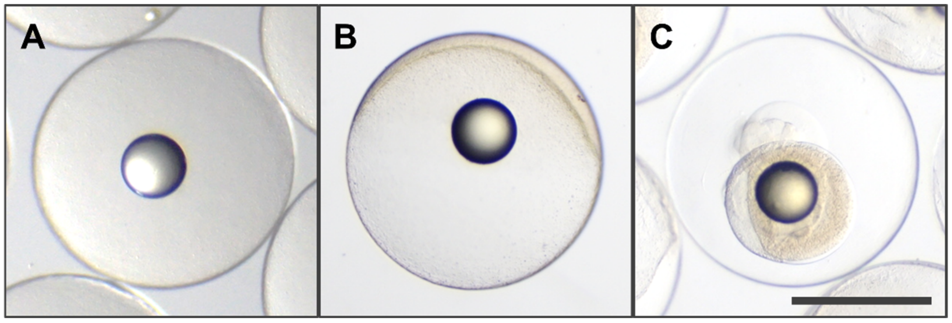 Jmse 10 00599 g002 Jmse 10 00599 g002