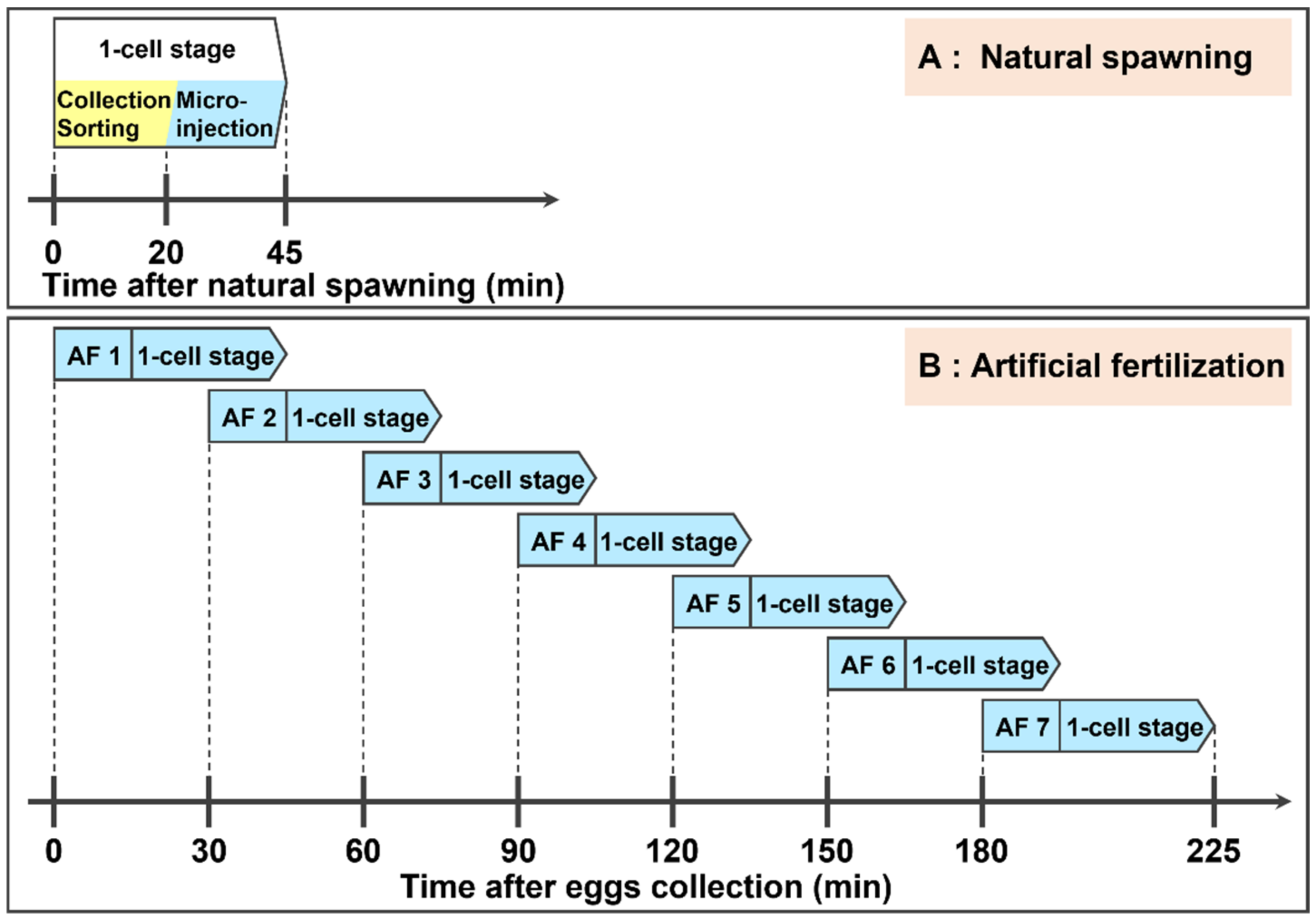 Jmse 10 00599 g007 Jmse 10 00599 g007