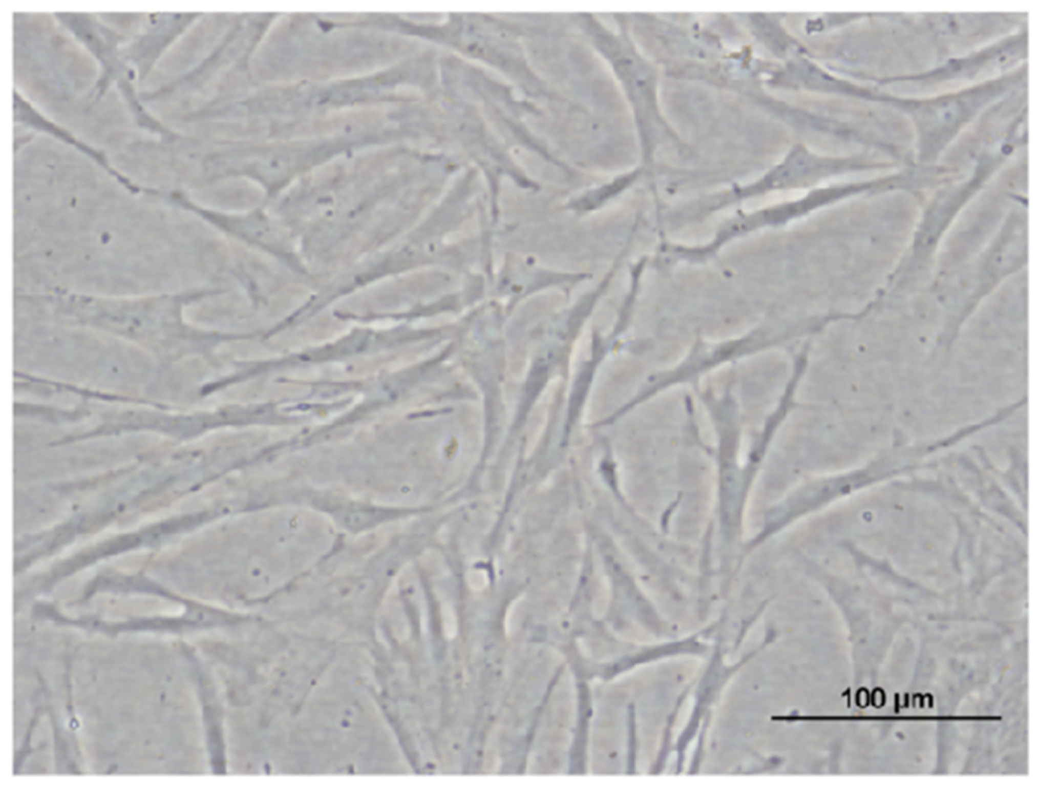 Jmse 10 00709 g001 Jmse 10 00709 g001