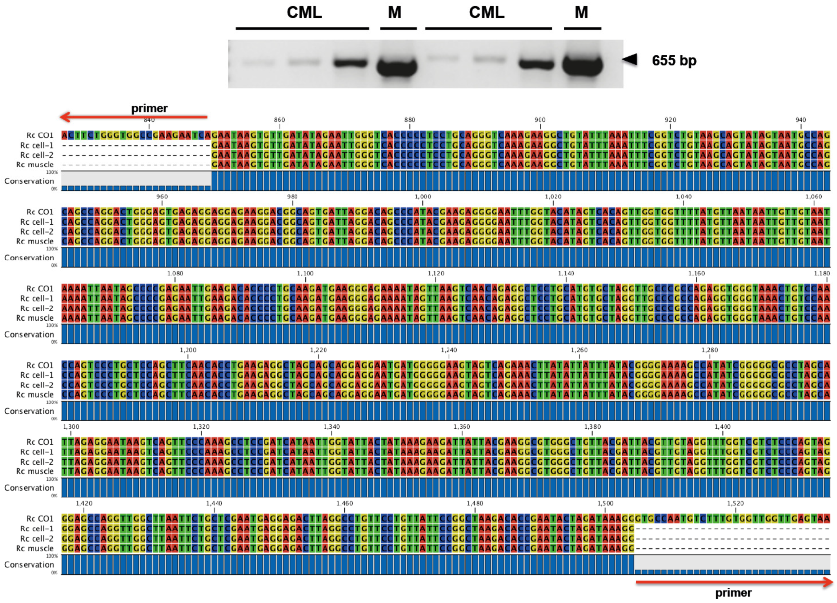 Jmse 10 00709 g002 Jmse 10 00709 g002