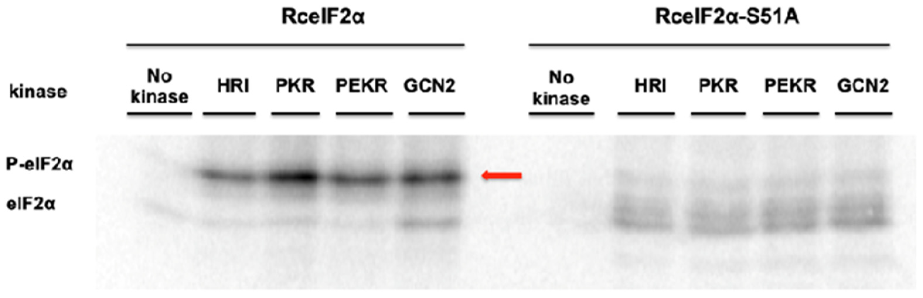 Jmse 10 00709 g005 Jmse 10 00709 g005