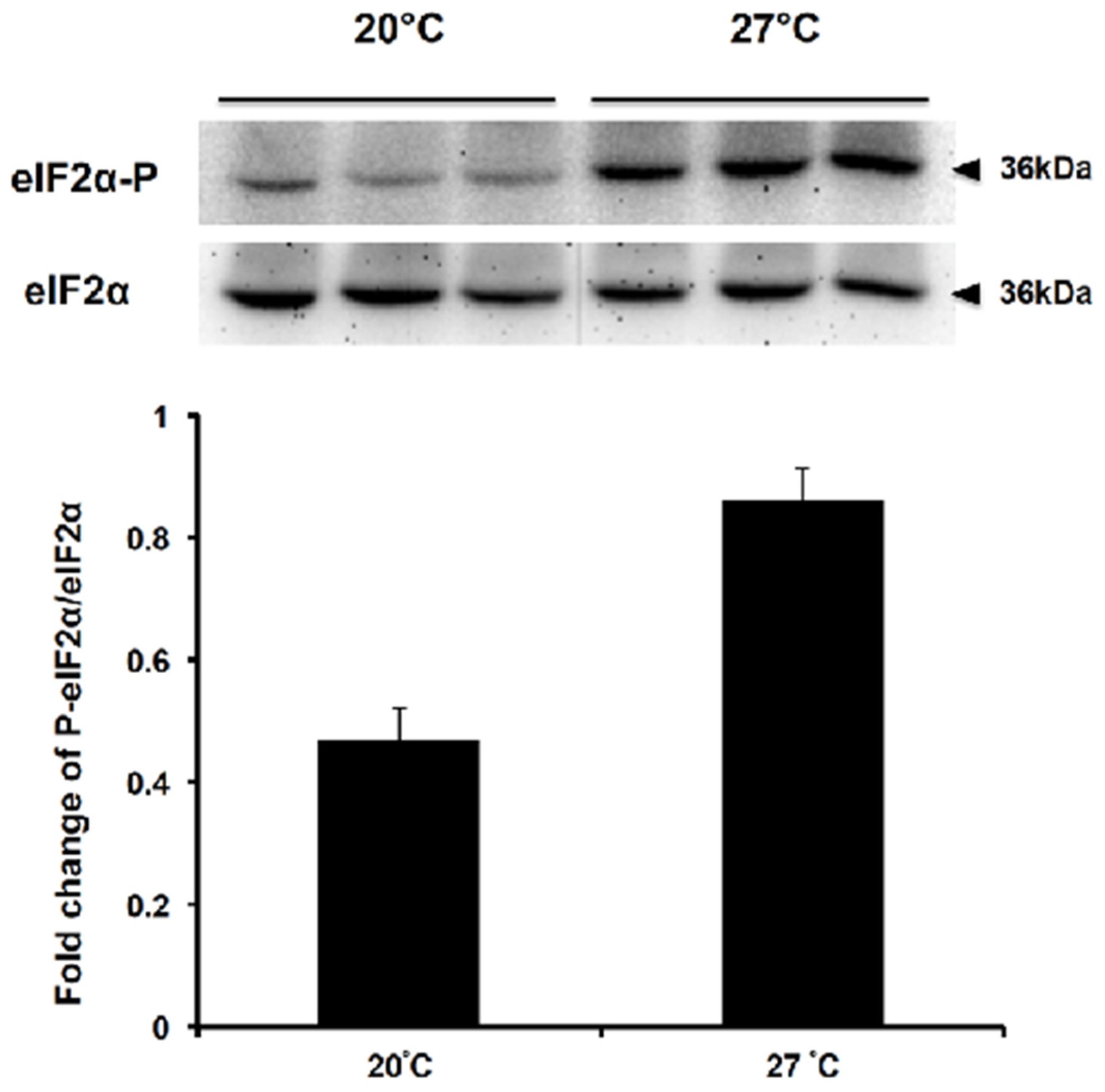 Jmse 10 00709 g008 Jmse 10 00709 g008