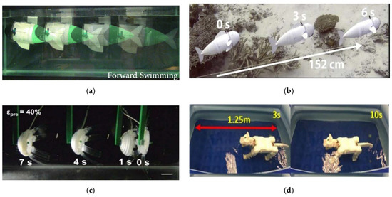 Jmse 10 00735 g006 550