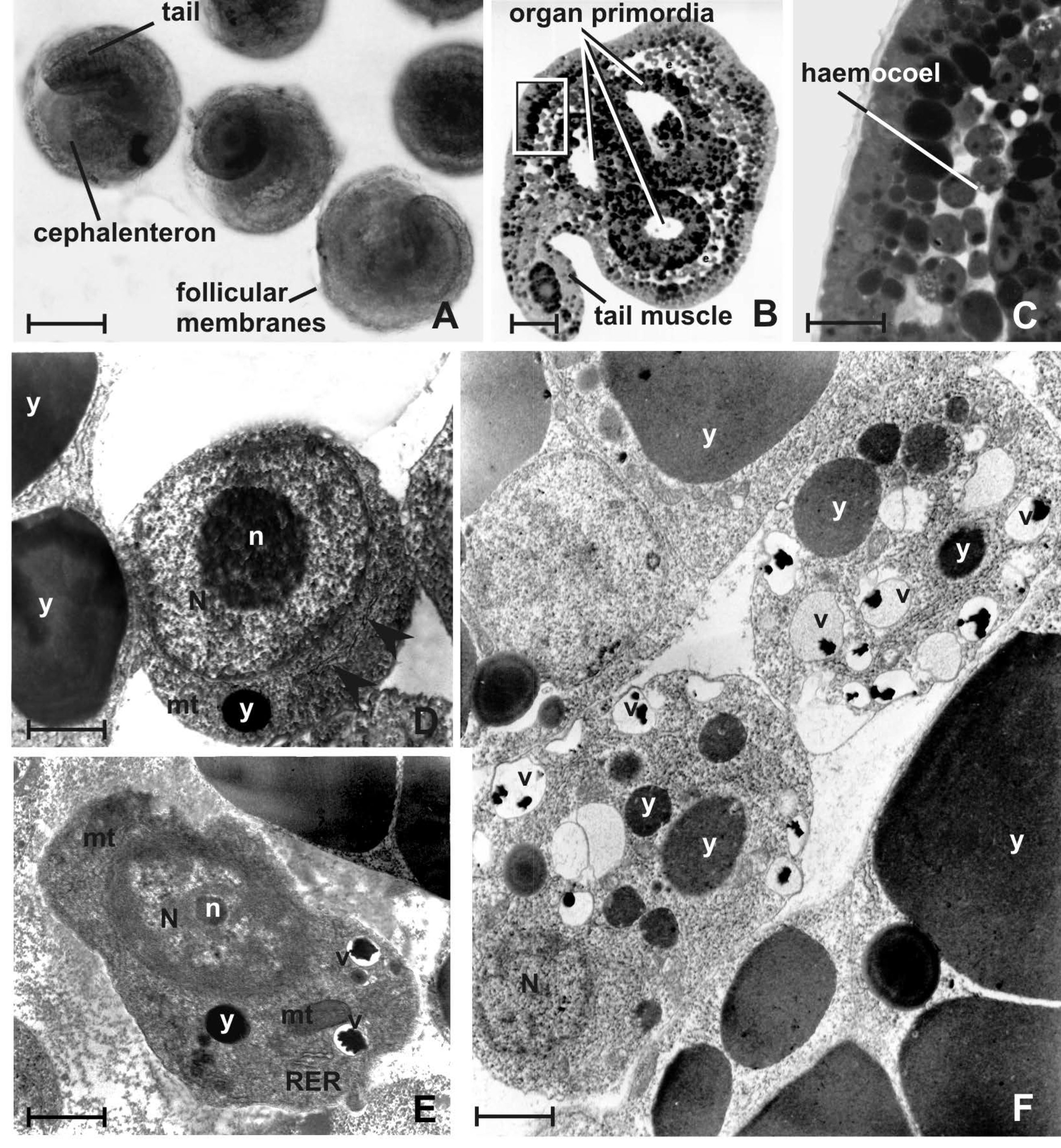 Jmse 10 00987 g002 Jmse 10 00987 g002