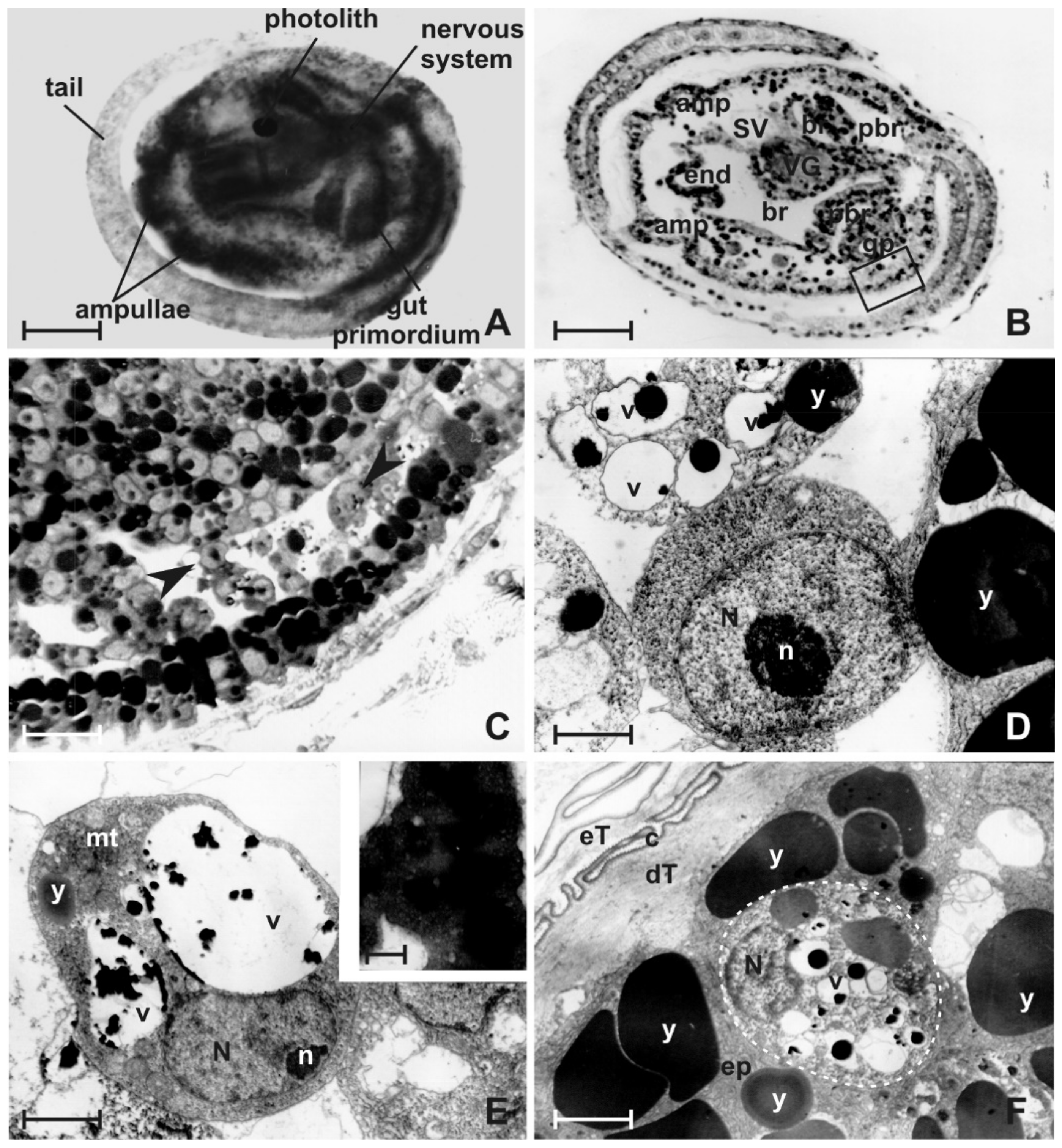 Jmse 10 00987 g003 Jmse 10 00987 g003