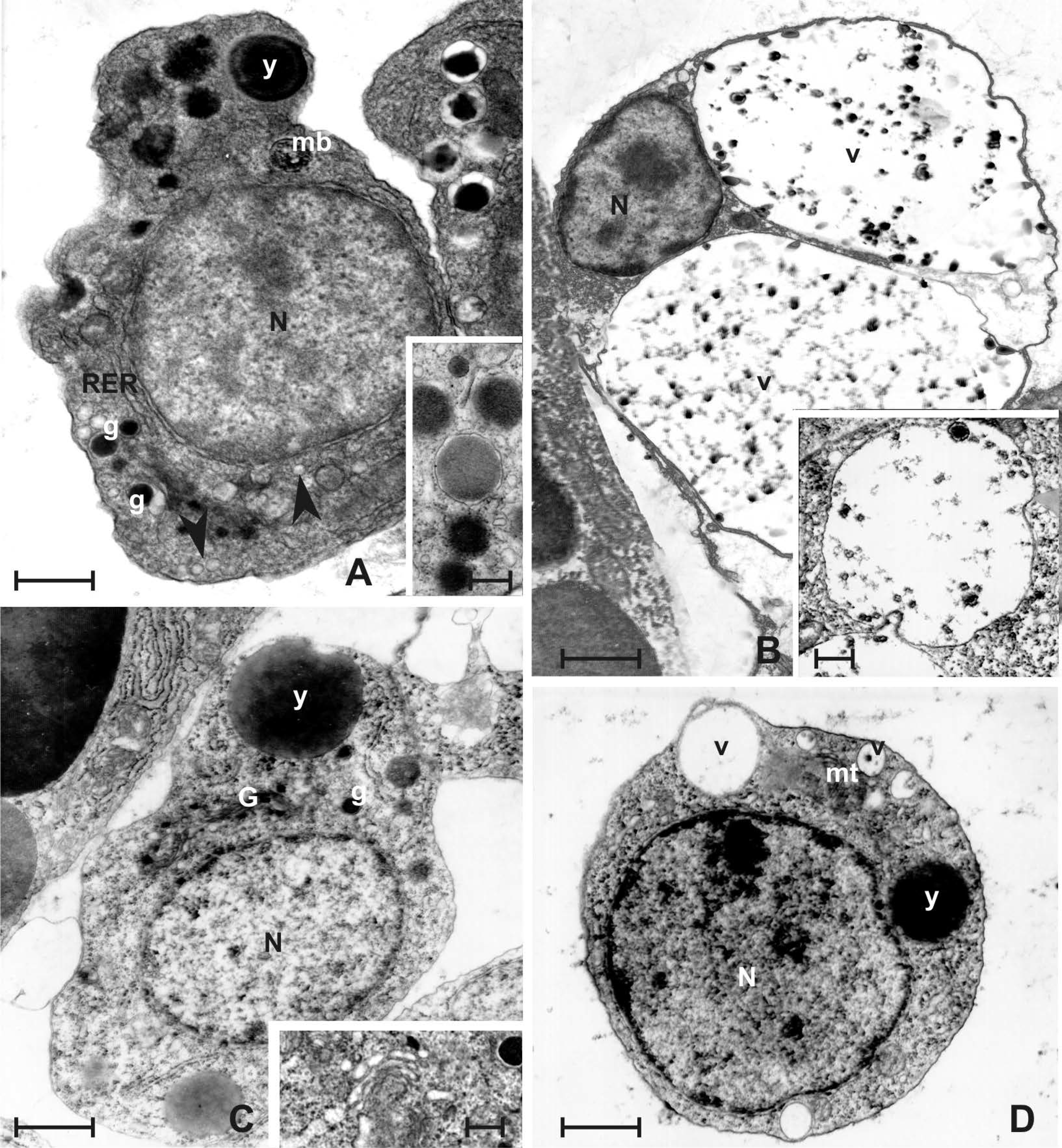 Jmse 10 00987 g004 Jmse 10 00987 g004