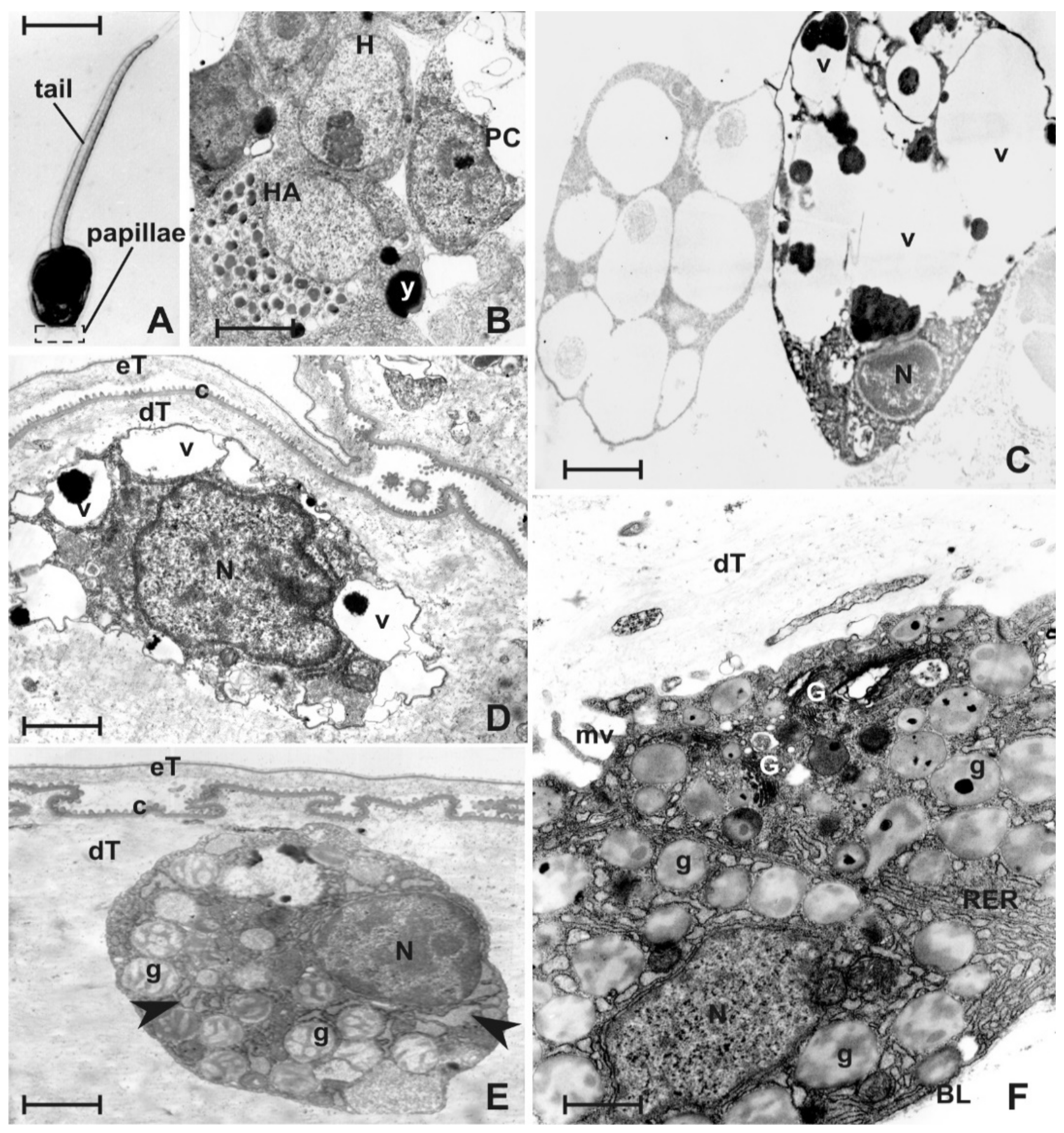 Jmse 10 00987 g005 Jmse 10 00987 g005
