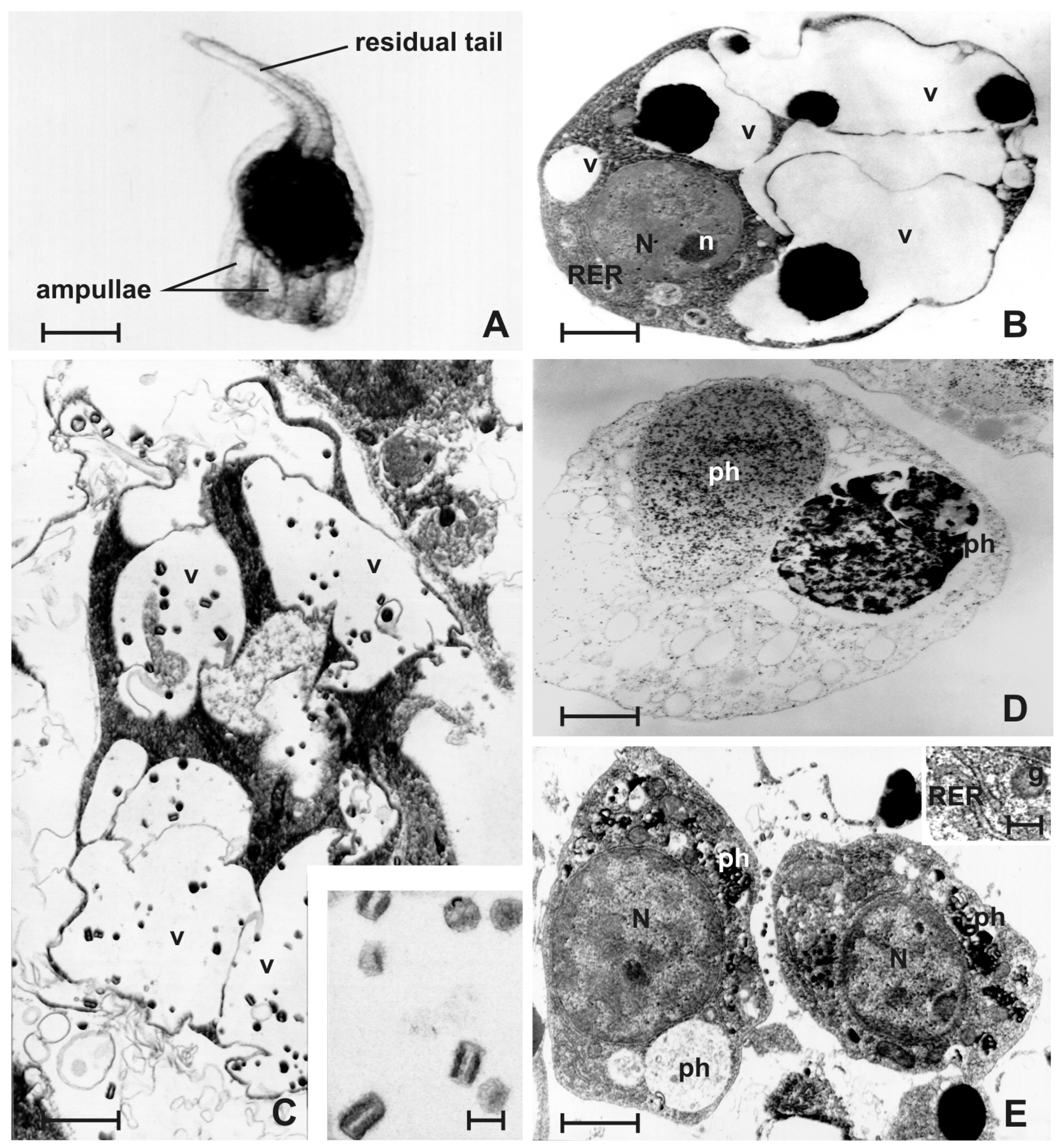 Jmse 10 00987 g006 Jmse 10 00987 g006