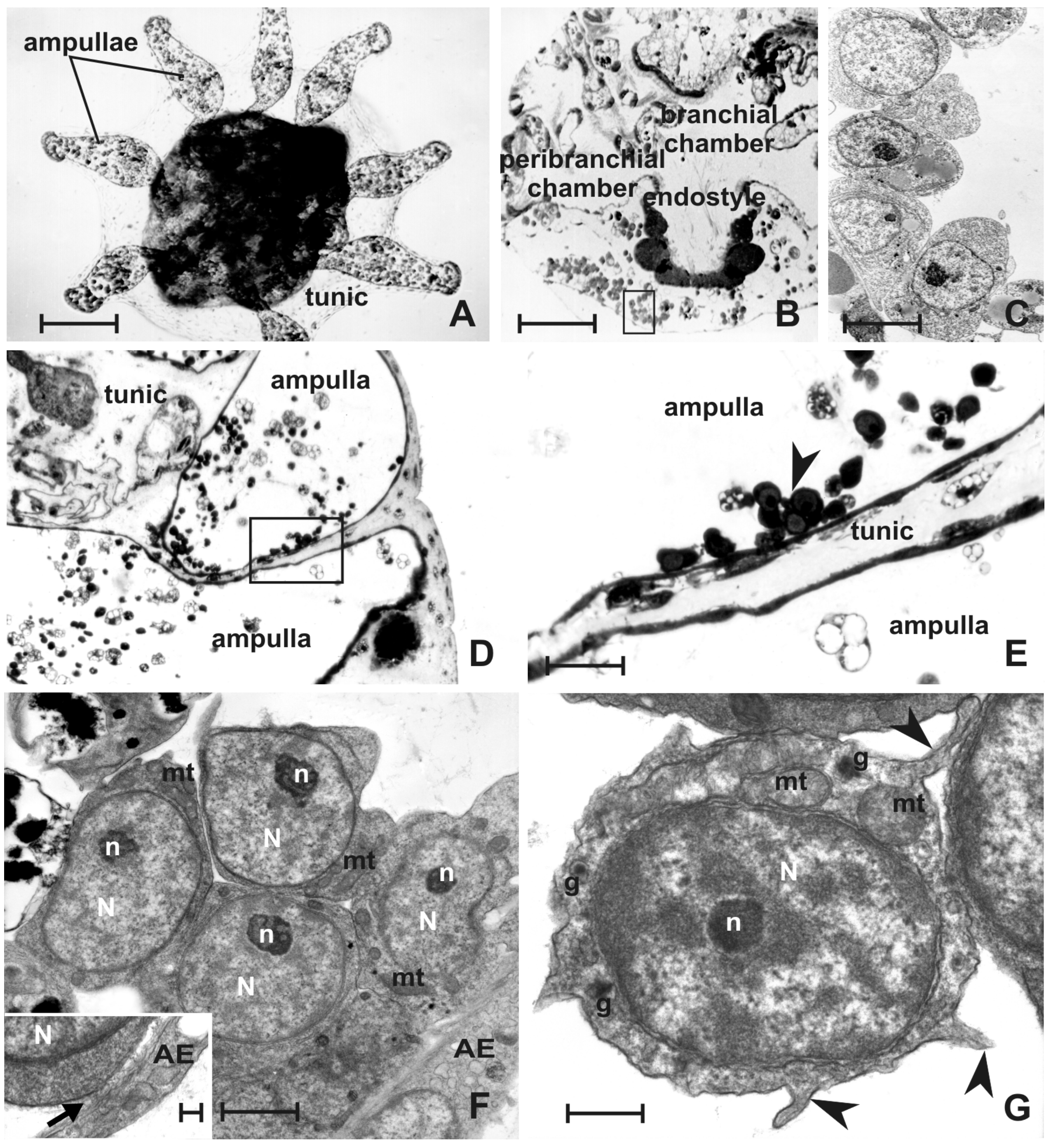 Jmse 10 00987 g007 Jmse 10 00987 g007