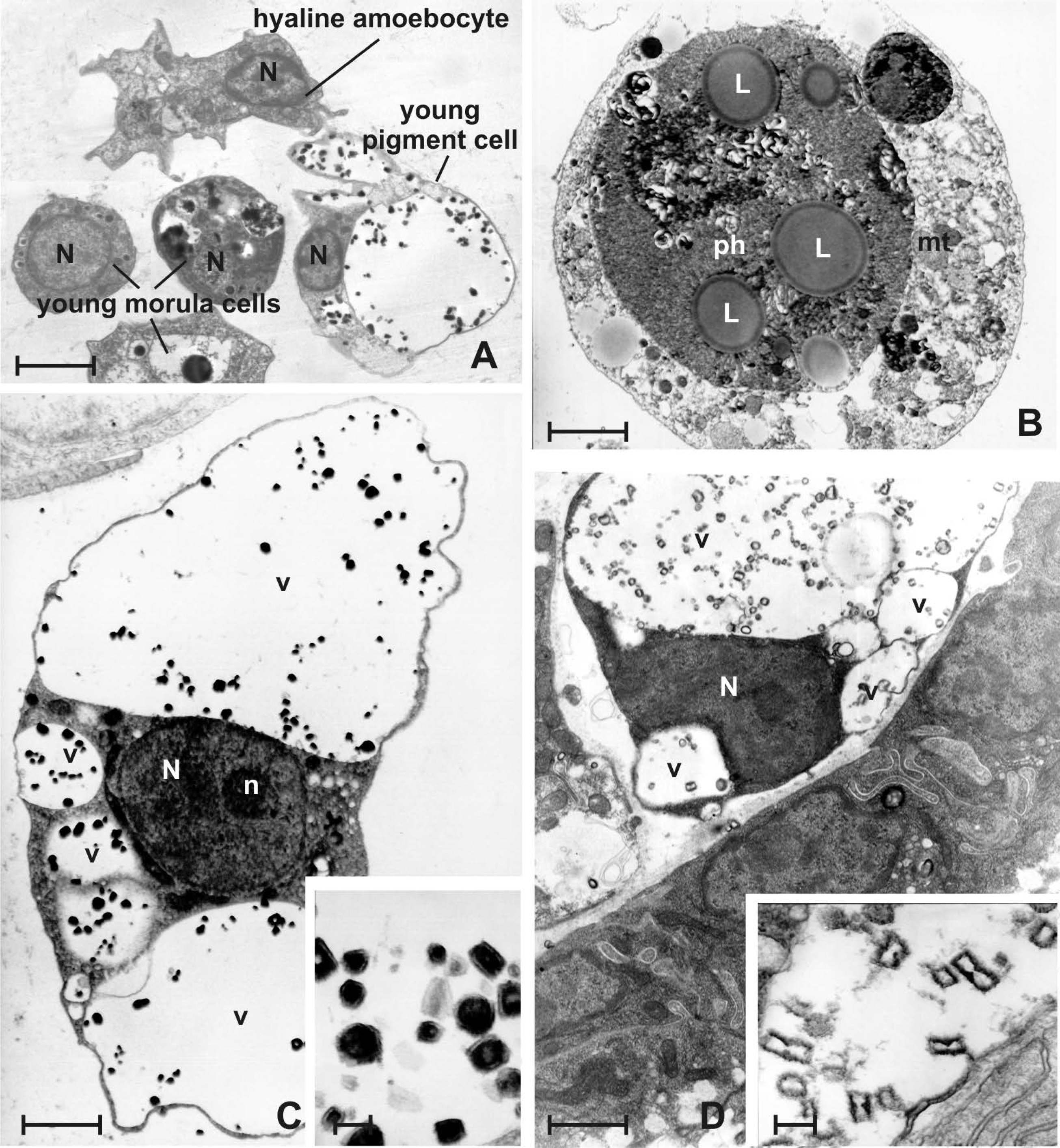 Jmse 10 00987 g008 Jmse 10 00987 g008