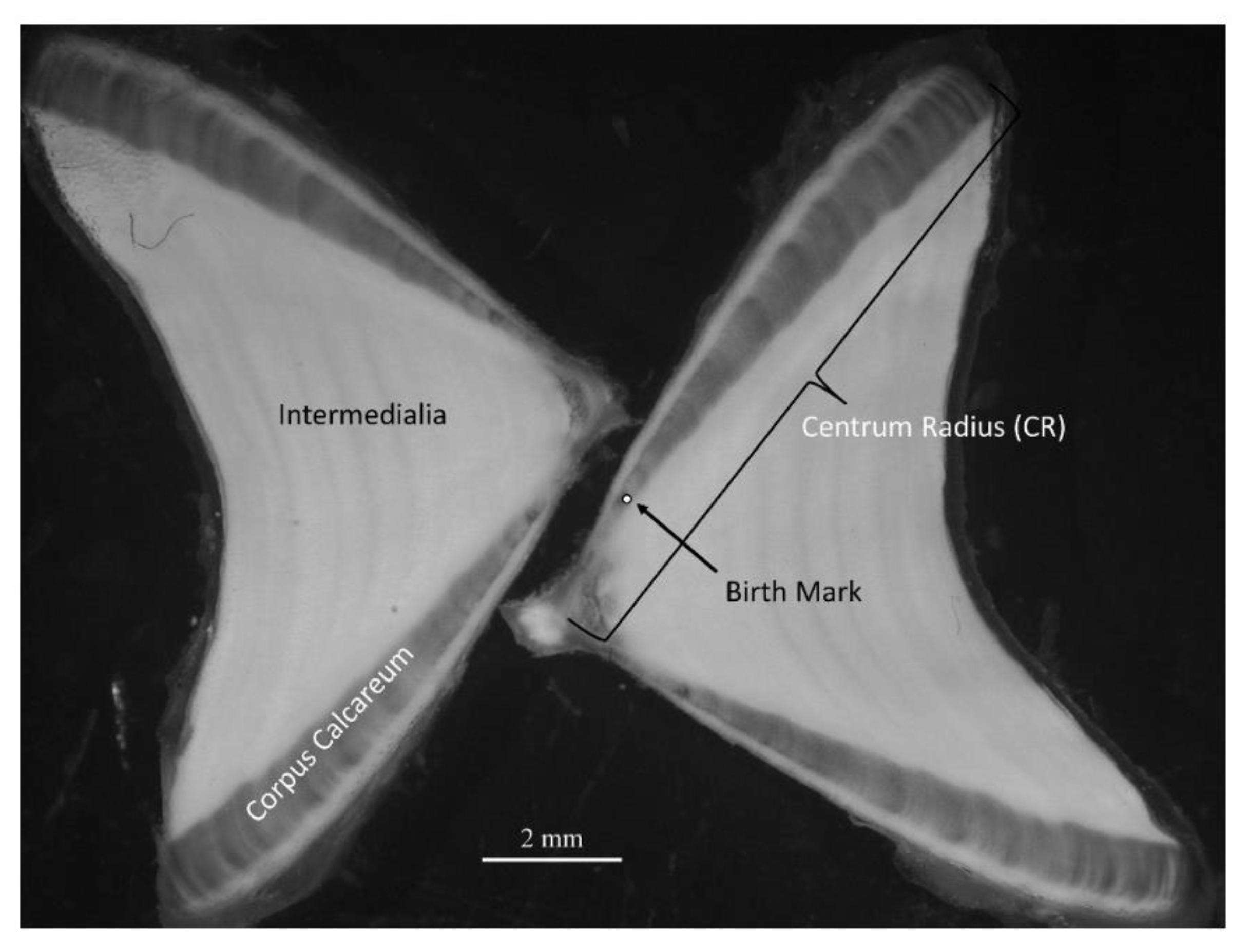 Jmse 10 01647 g002 Jmse 10 01647 g002