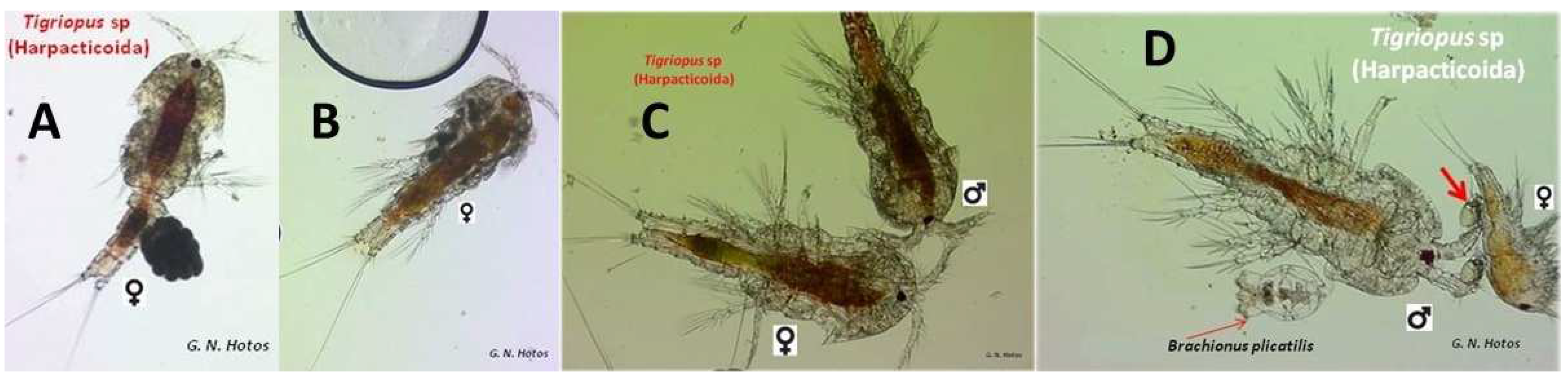 Jmse 10 01663 g001 Jmse 10 01663 g001