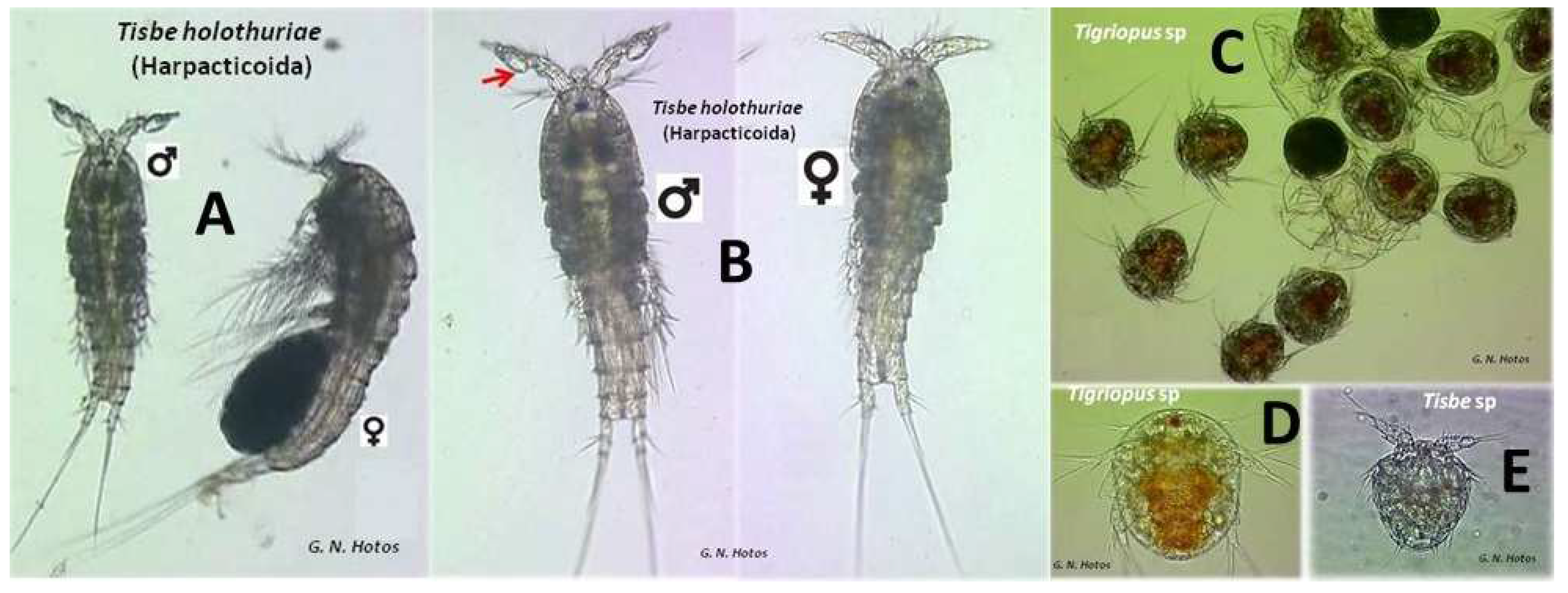 Jmse 10 01663 g002 Jmse 10 01663 g002