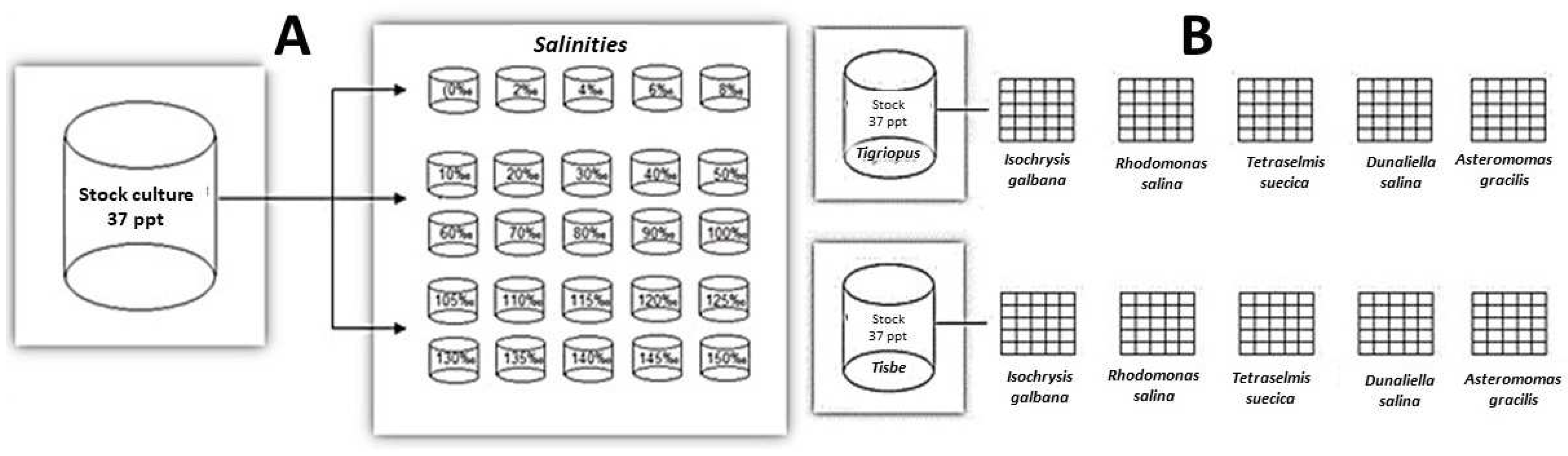 Jmse 10 01663 g003 Jmse 10 01663 g003
