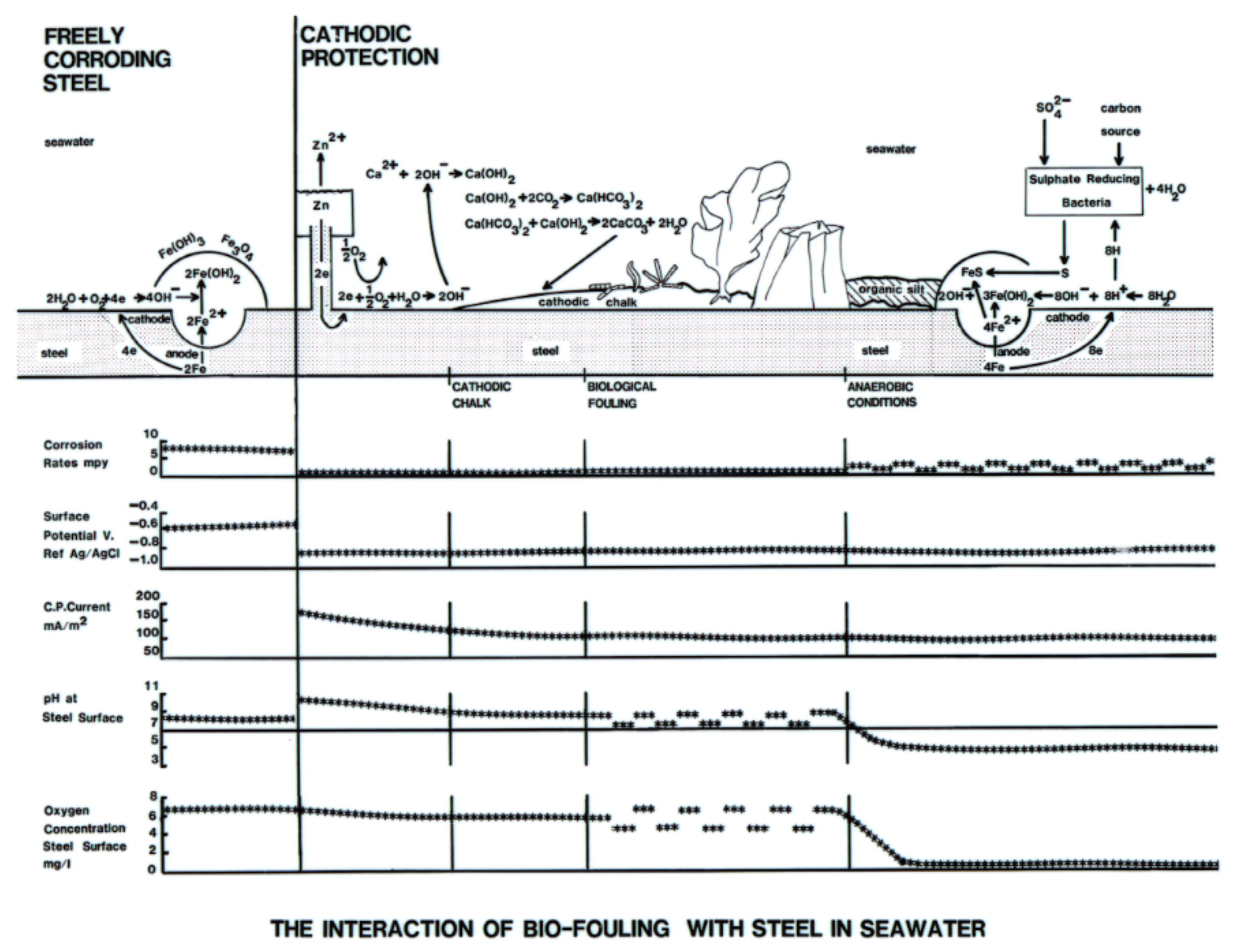 Jmse 10 01670 g001 Jmse 10 01670 g001