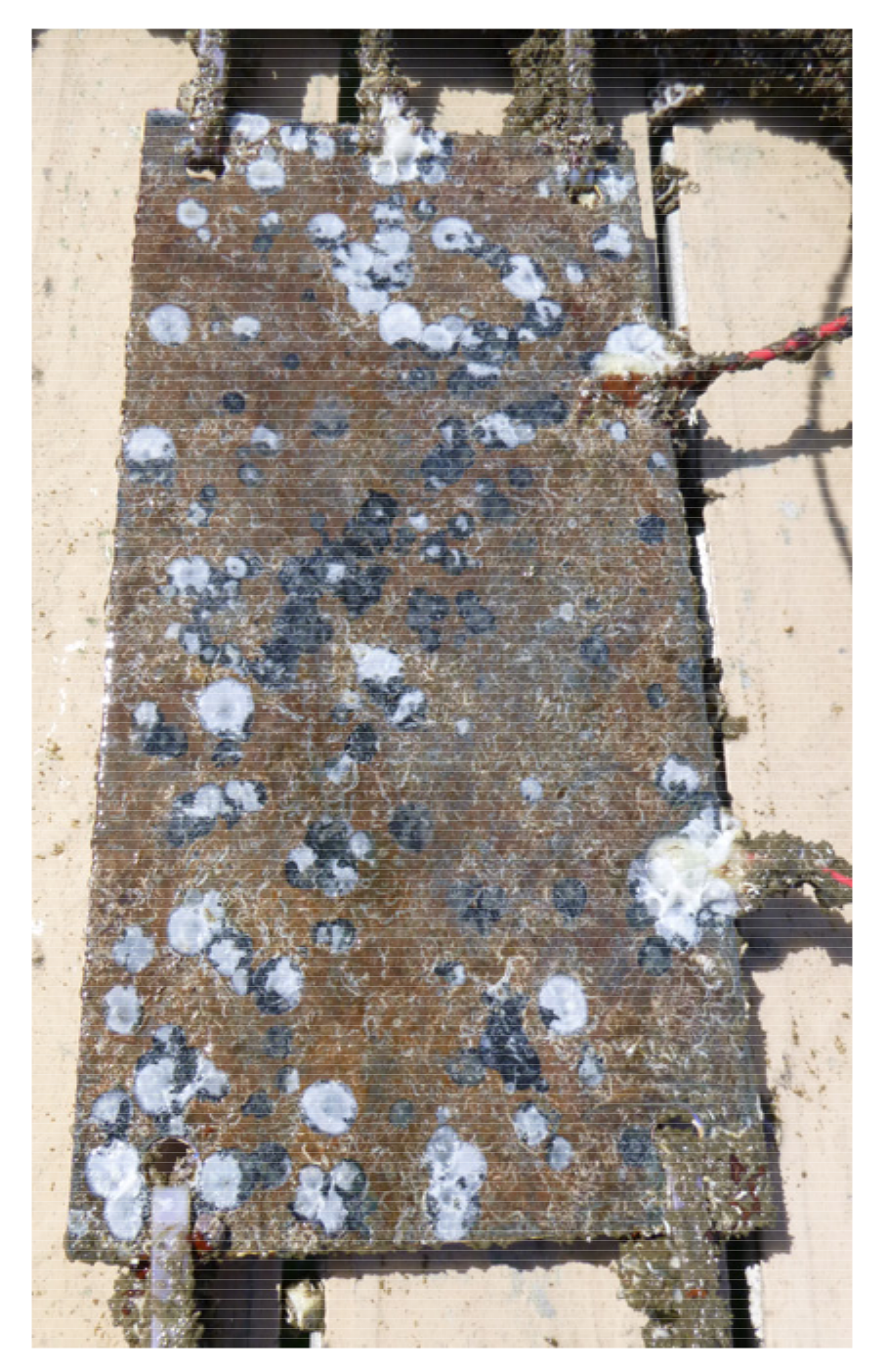 Jmse 10 01670 g010 Jmse 10 01670 g010