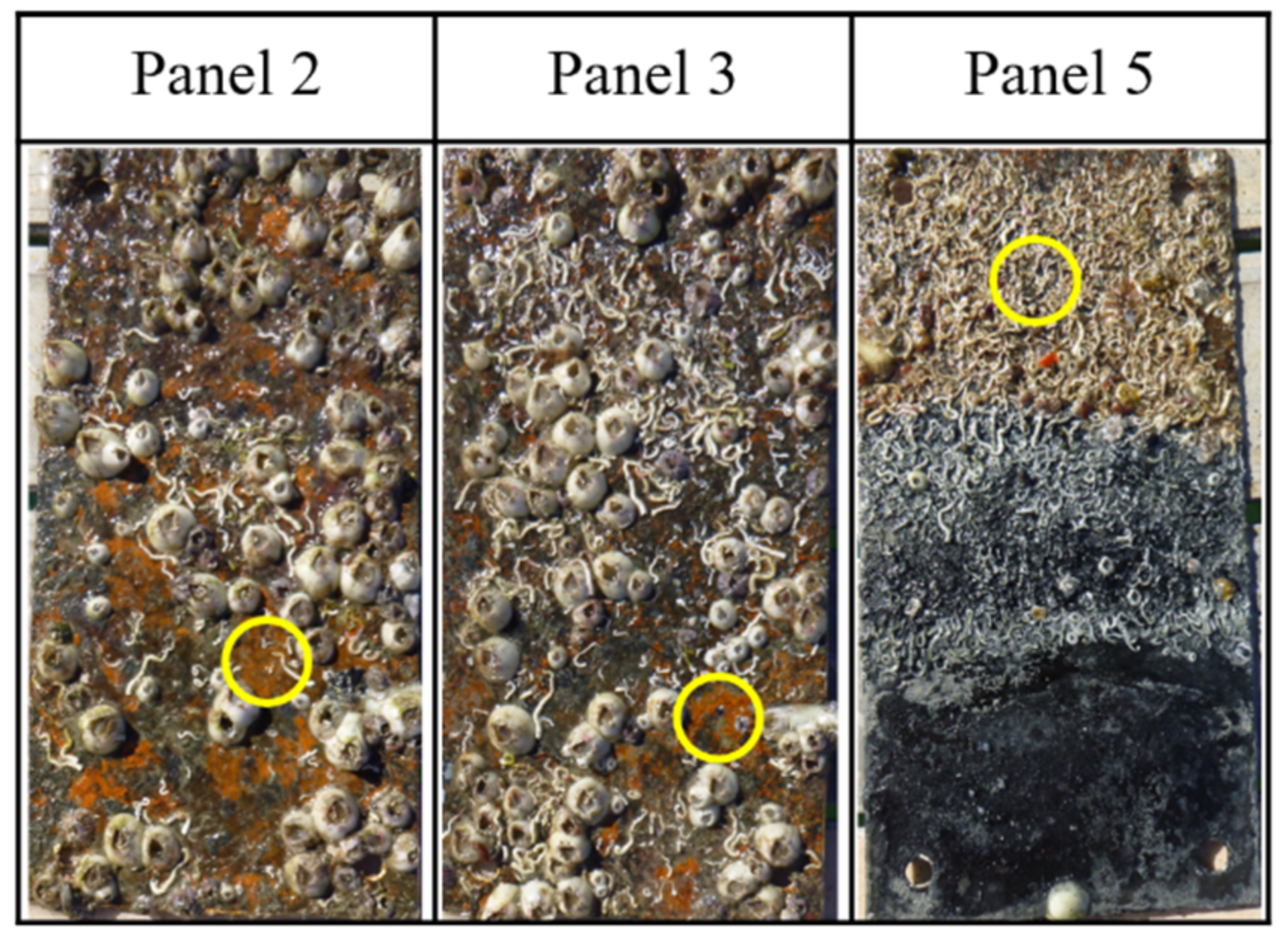 Jmse 10 01670 g011 Jmse 10 01670 g011