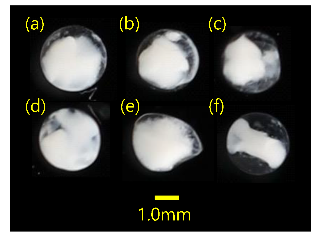 Jmse 11 00257 g003 Jmse 11 00257 g003