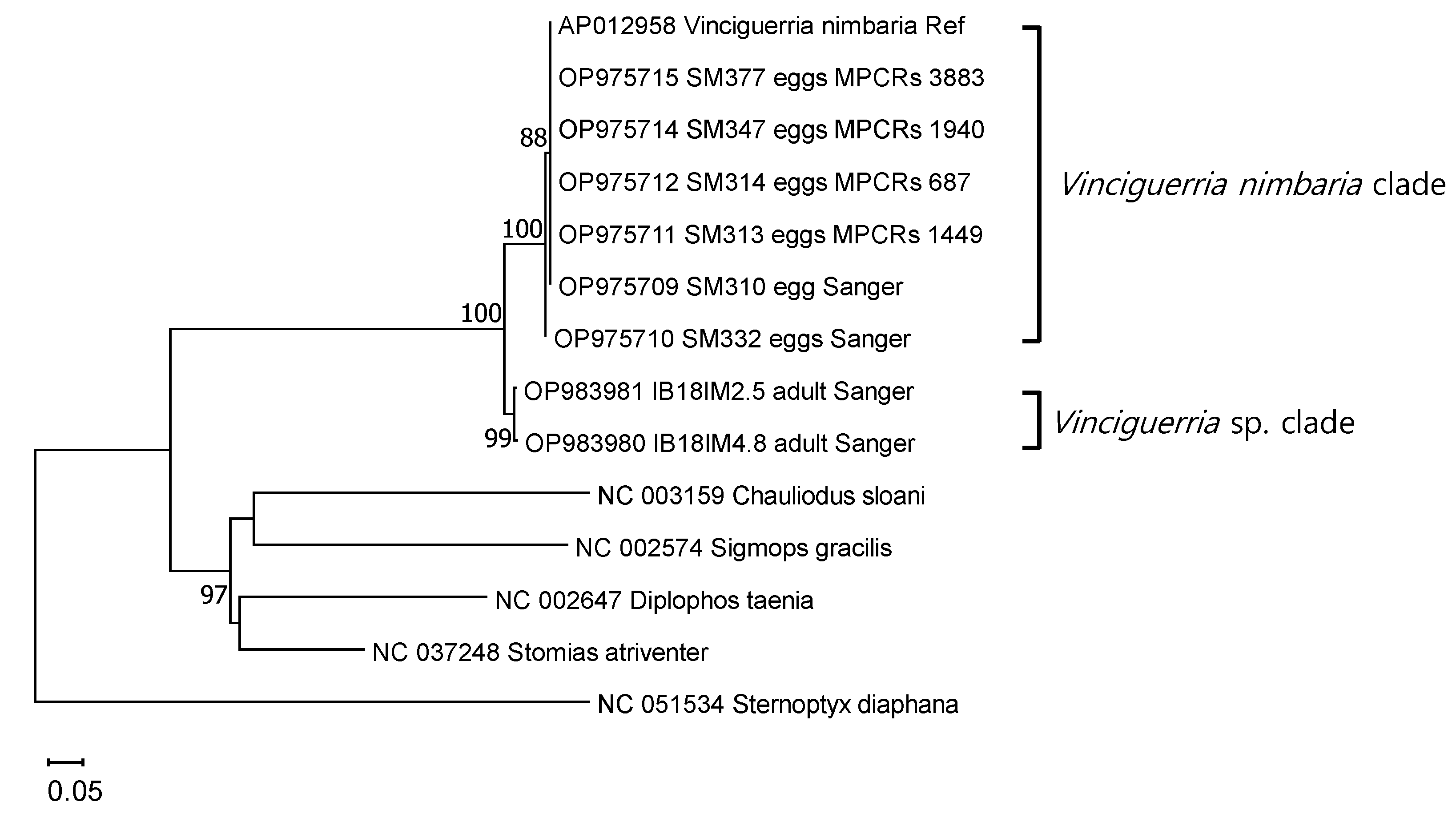 Jmse 11 00257 g004 Jmse 11 00257 g004