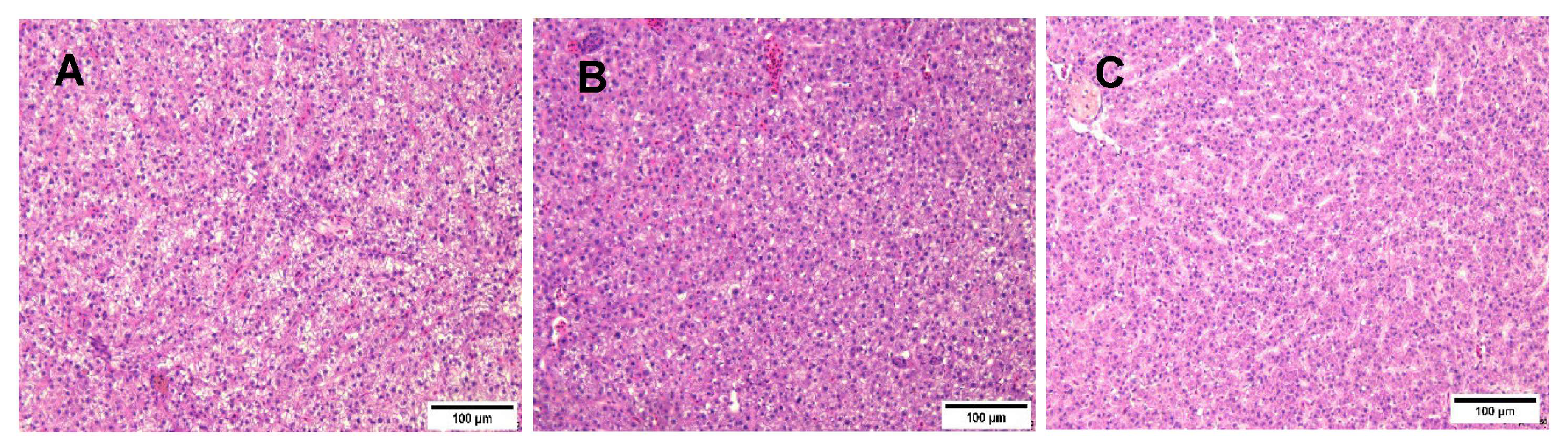 Jmse 11 00300 g007 Jmse 11 00300 g007