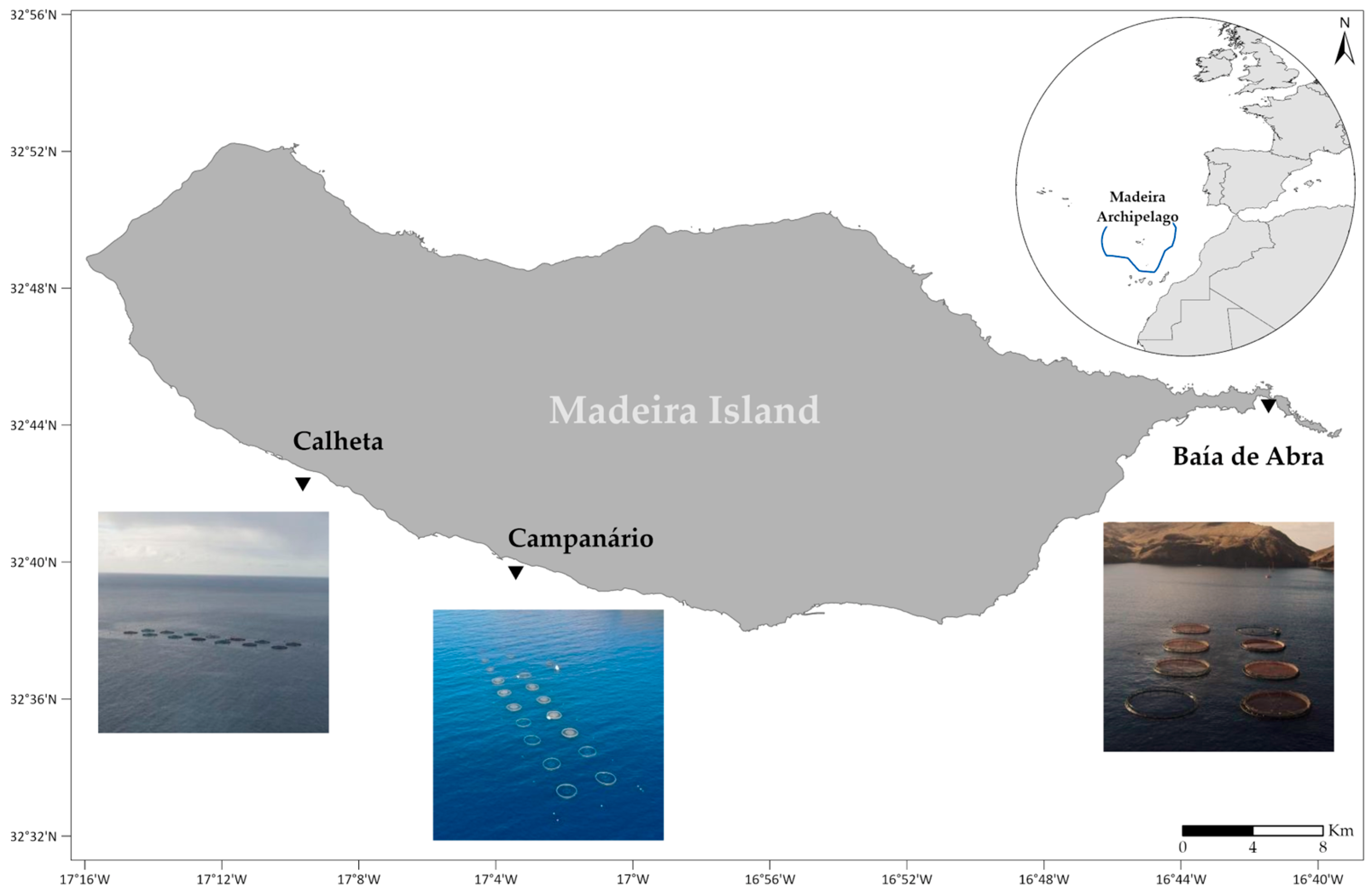 Jmse 11 00438 g001 Jmse 11 00438 g001