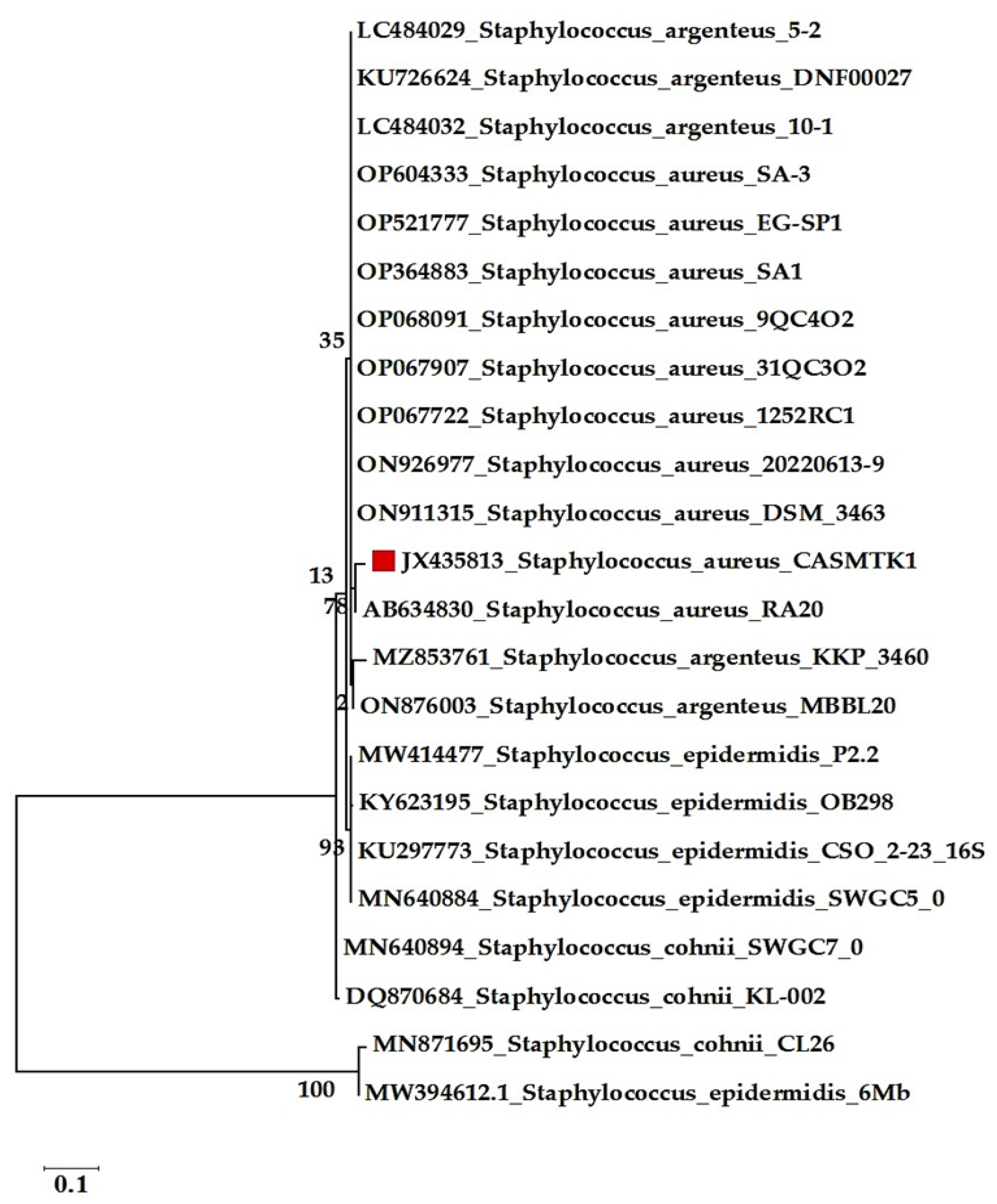 Jmse 11 00778 g002 Jmse 11 00778 g002