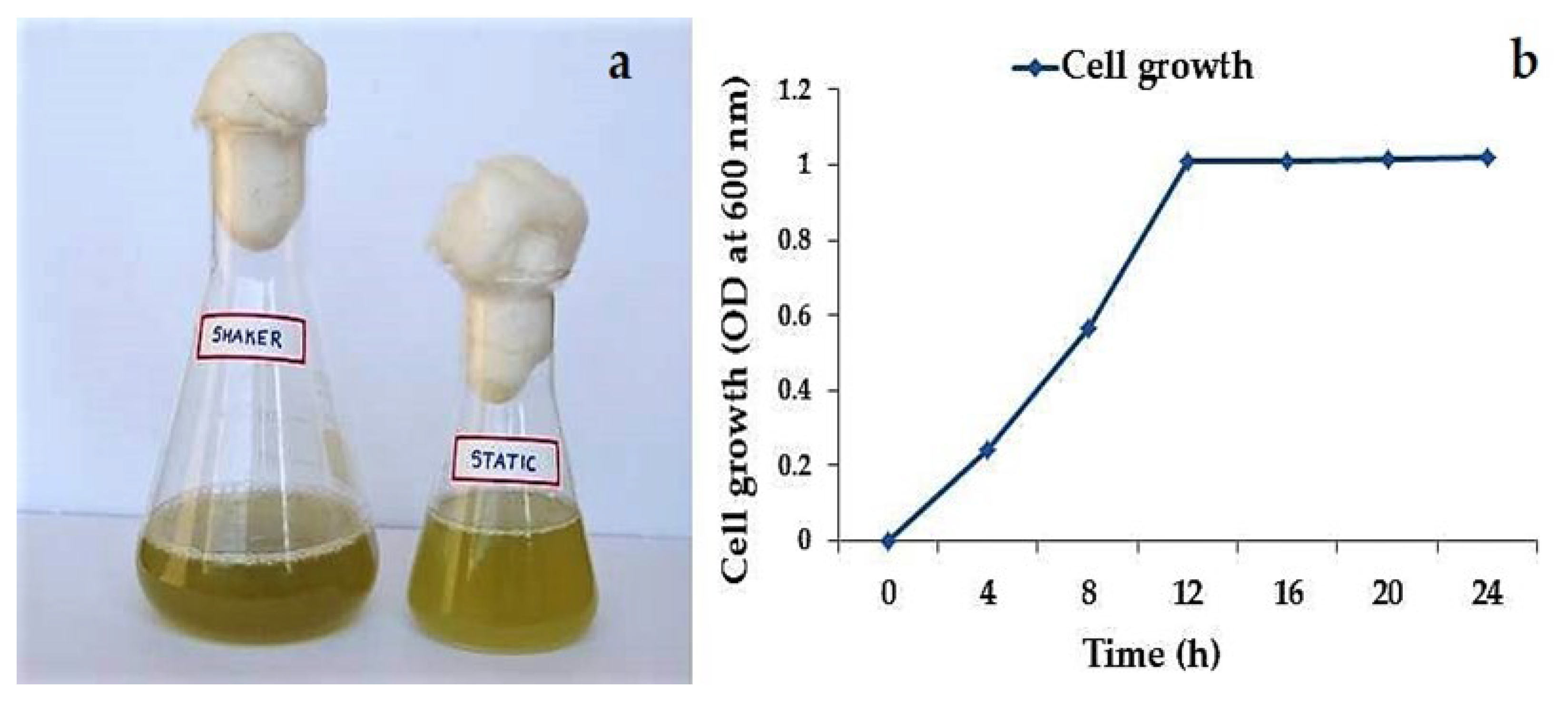 Jmse 11 00778 g003 Jmse 11 00778 g003