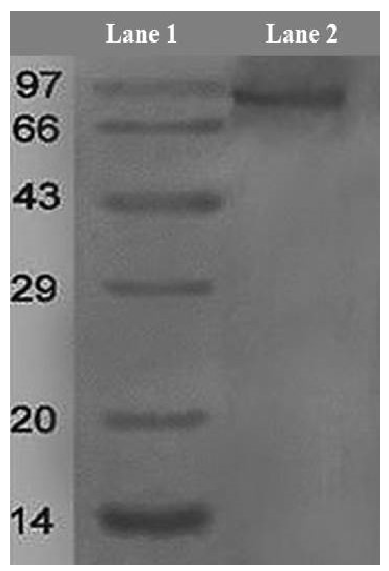 Jmse 11 00778 g004 Jmse 11 00778 g004