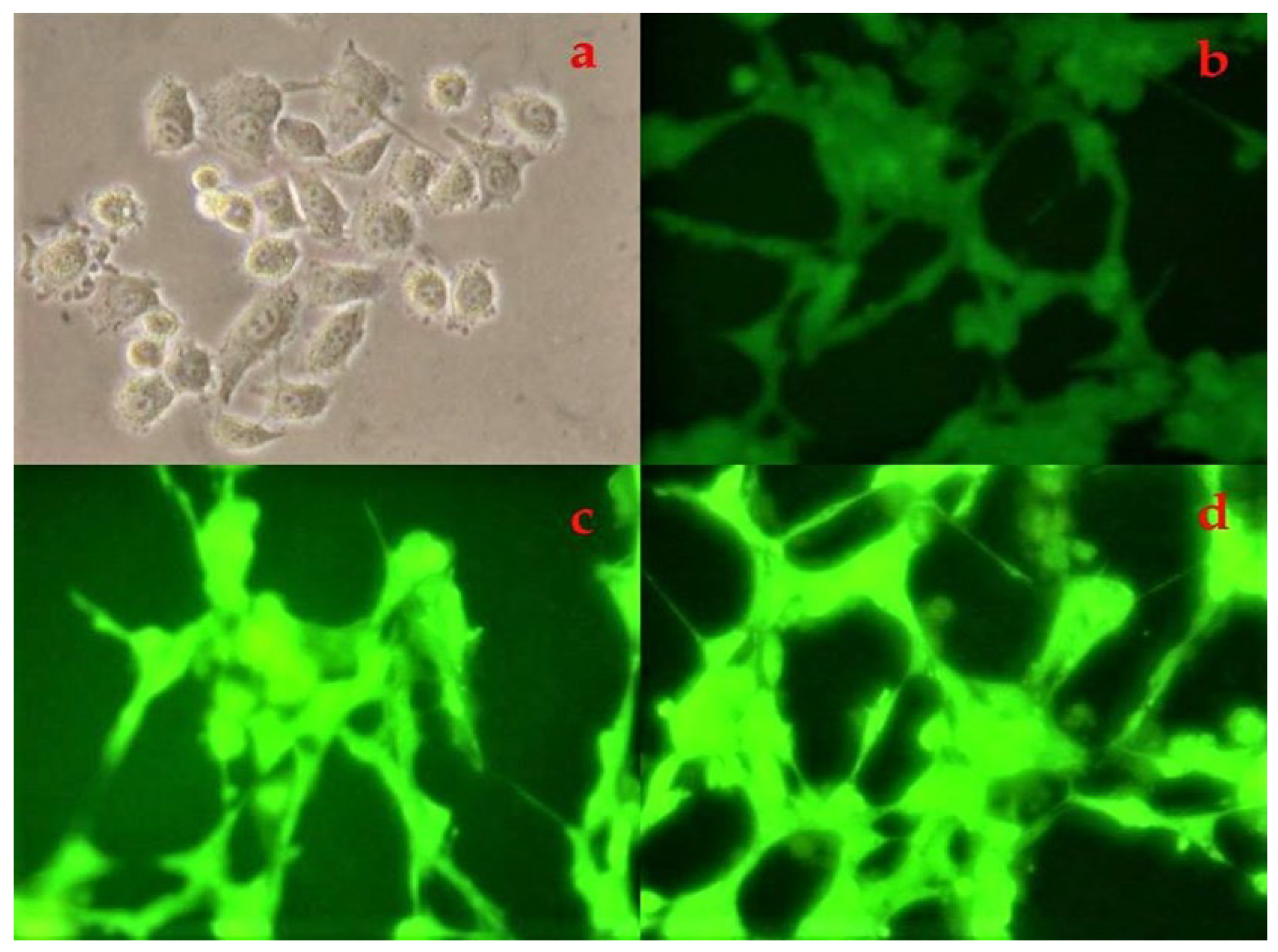 Jmse 11 00778 g010 Jmse 11 00778 g010