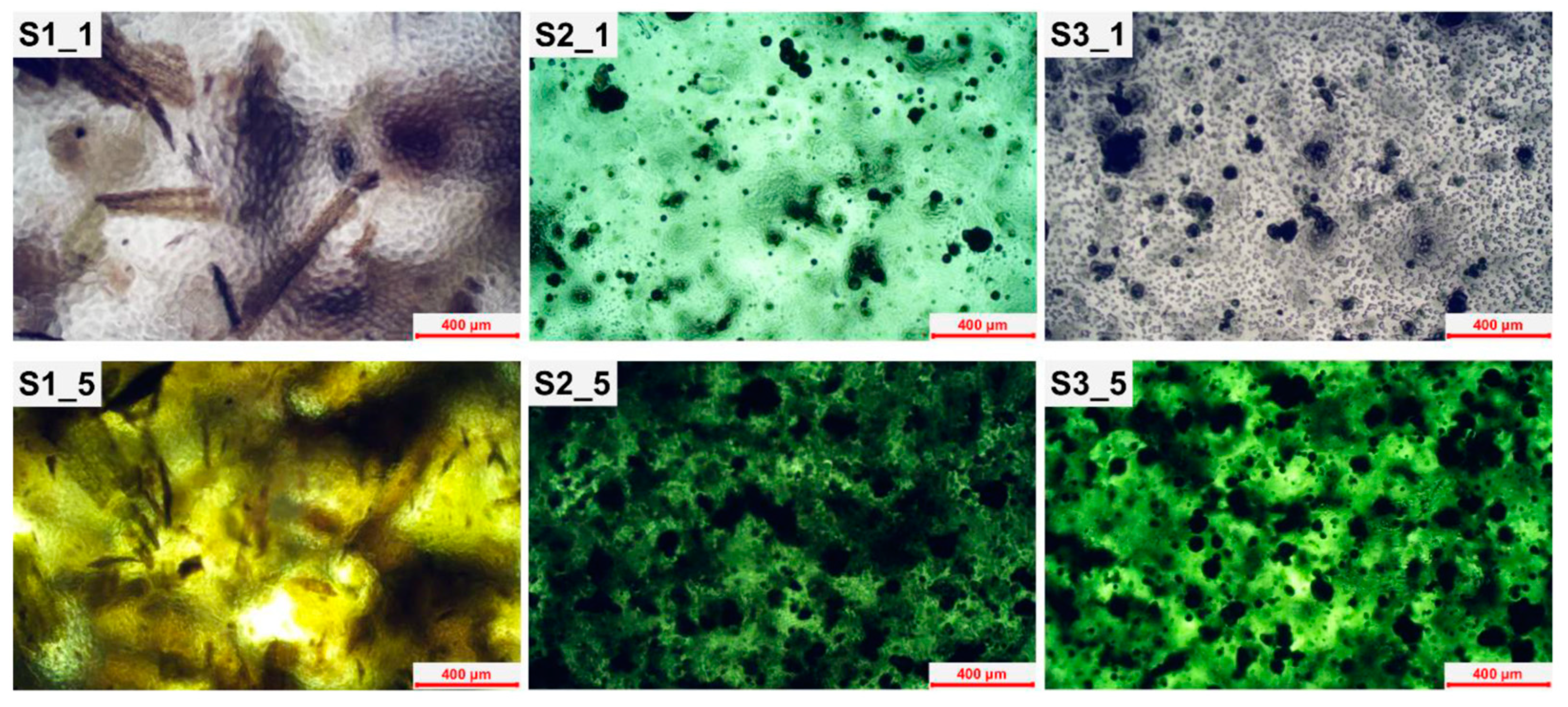 Jmse 11 00855 g003 Jmse 11 00855 g003