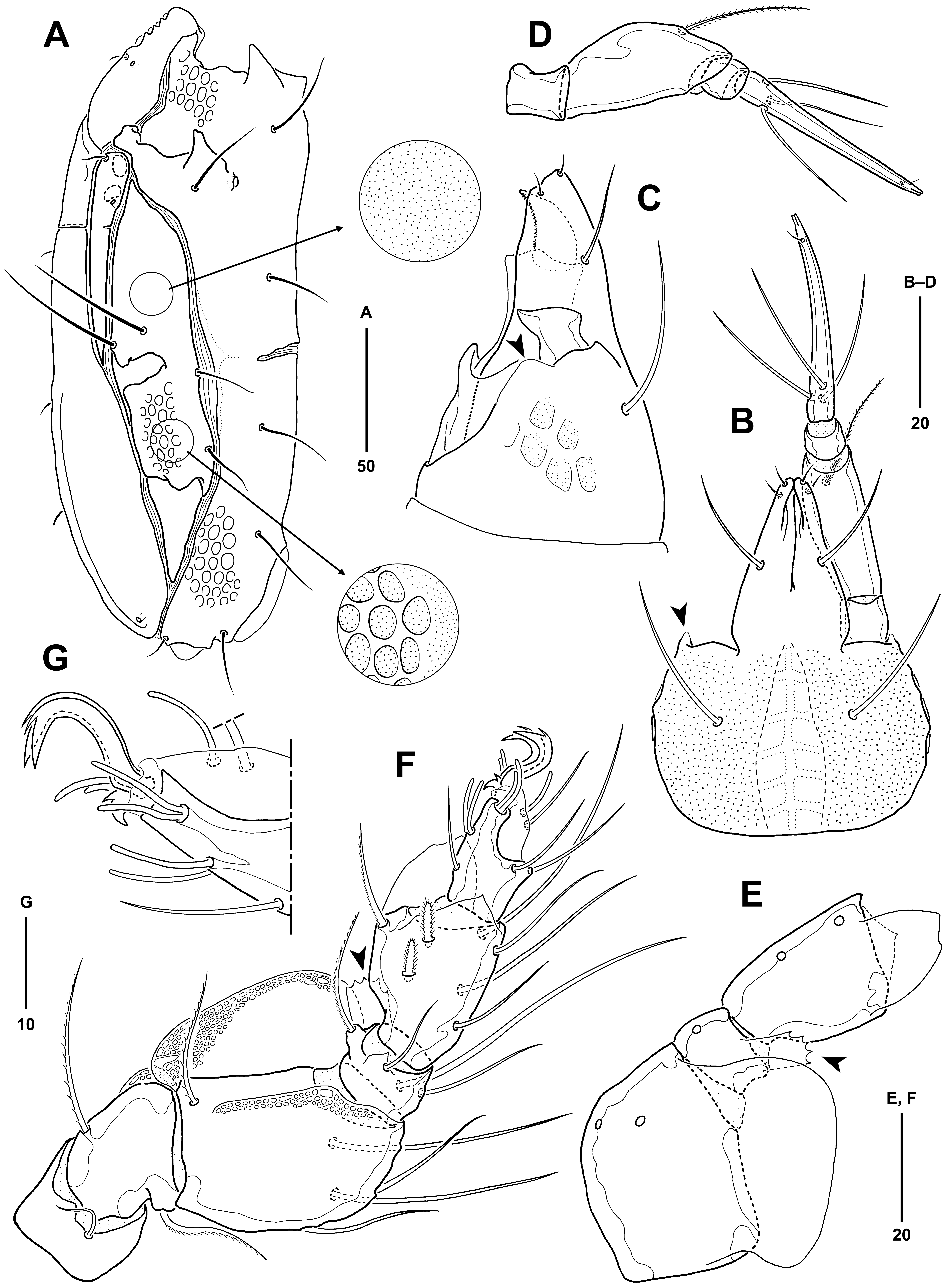 Jmse 11 00964 g003 Jmse 11 00964 g003